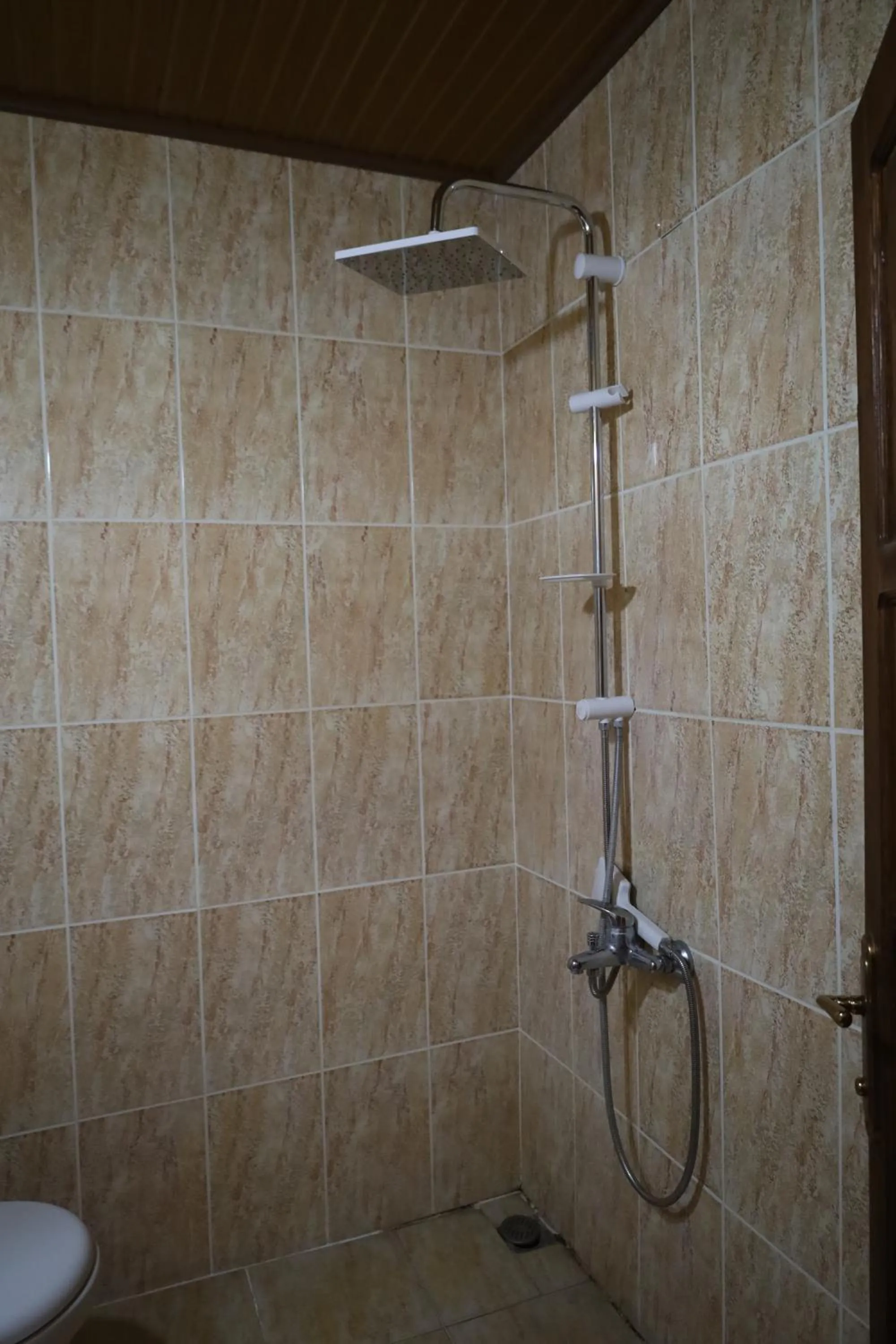Shower in Born Hotel