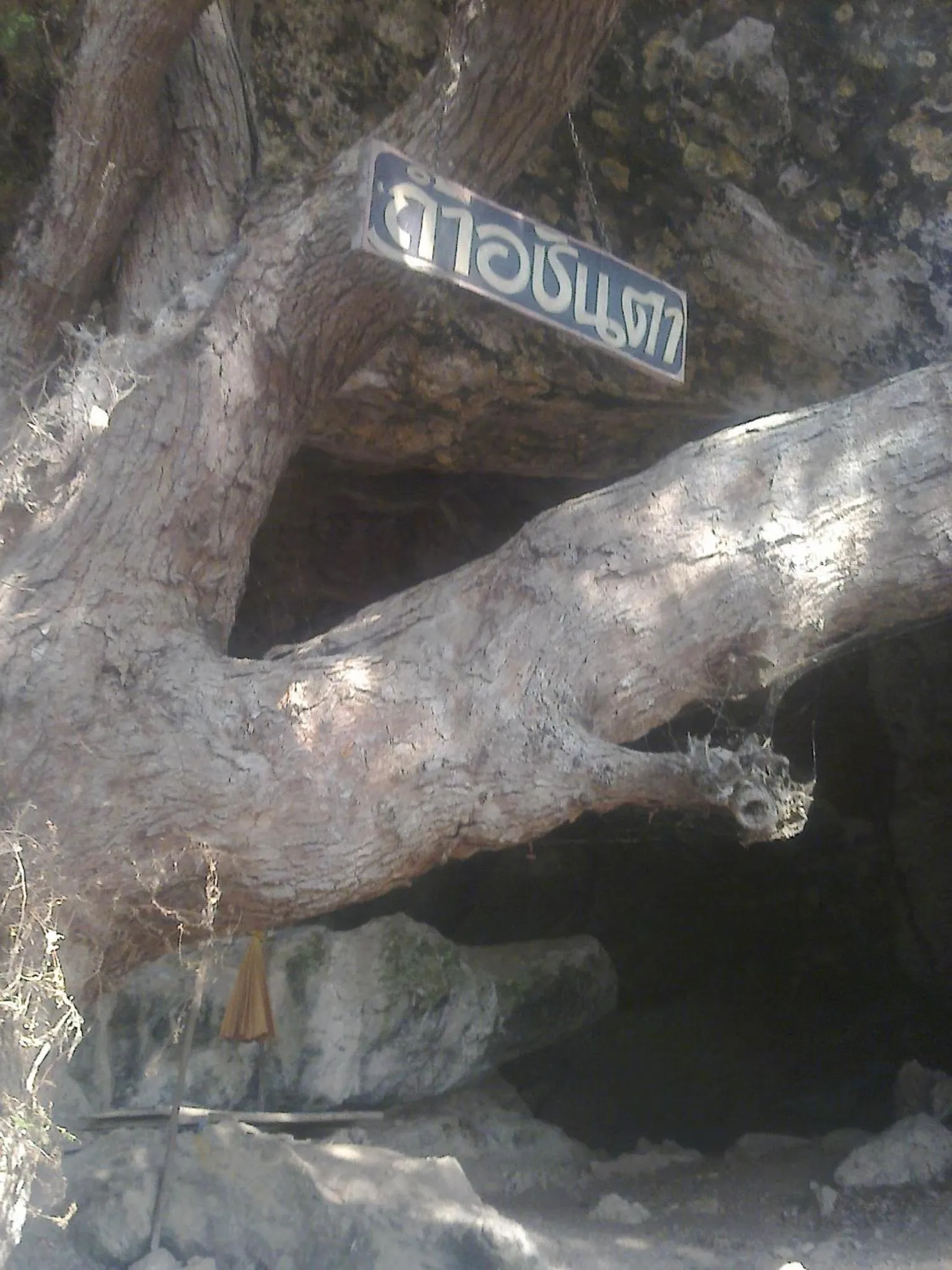 Off site in Lungcha Homestay