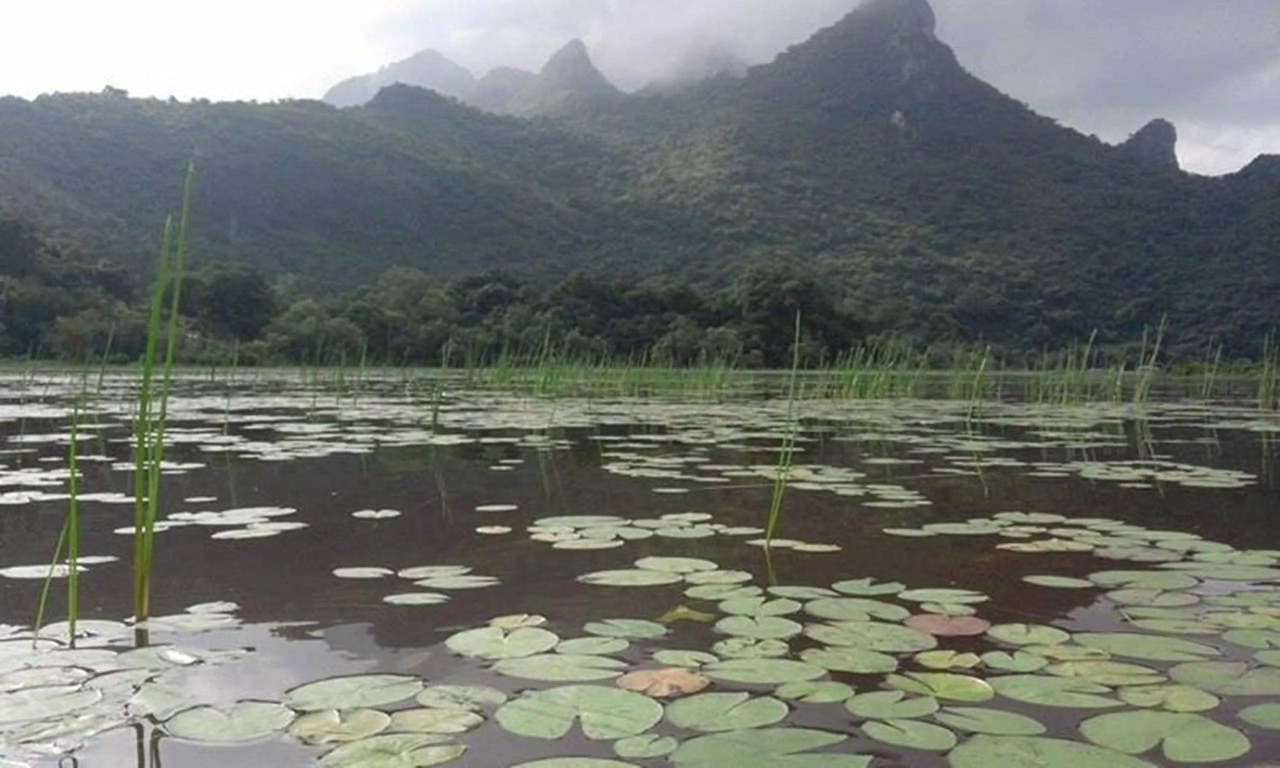 Property building in Lungcha Homestay