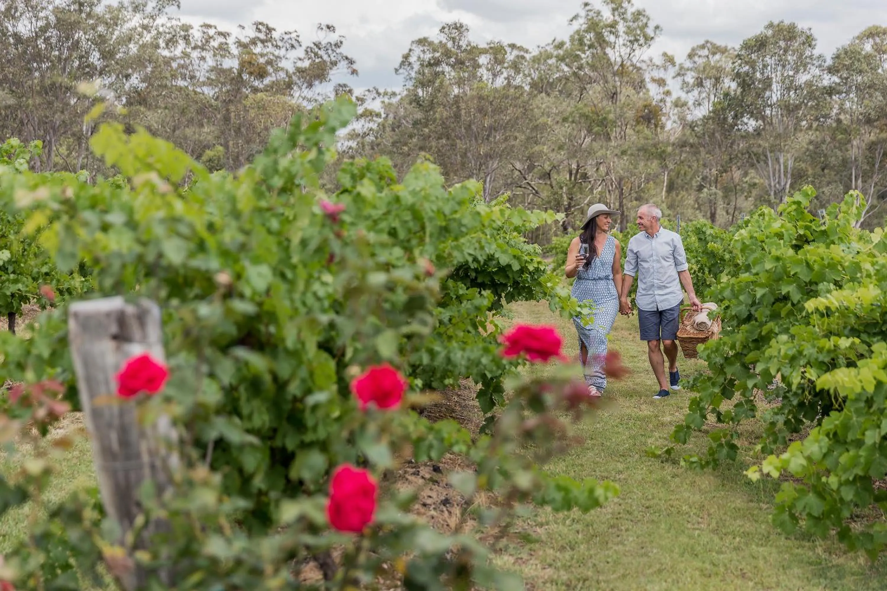 Area and facilities in Spicers Vineyards Estate
