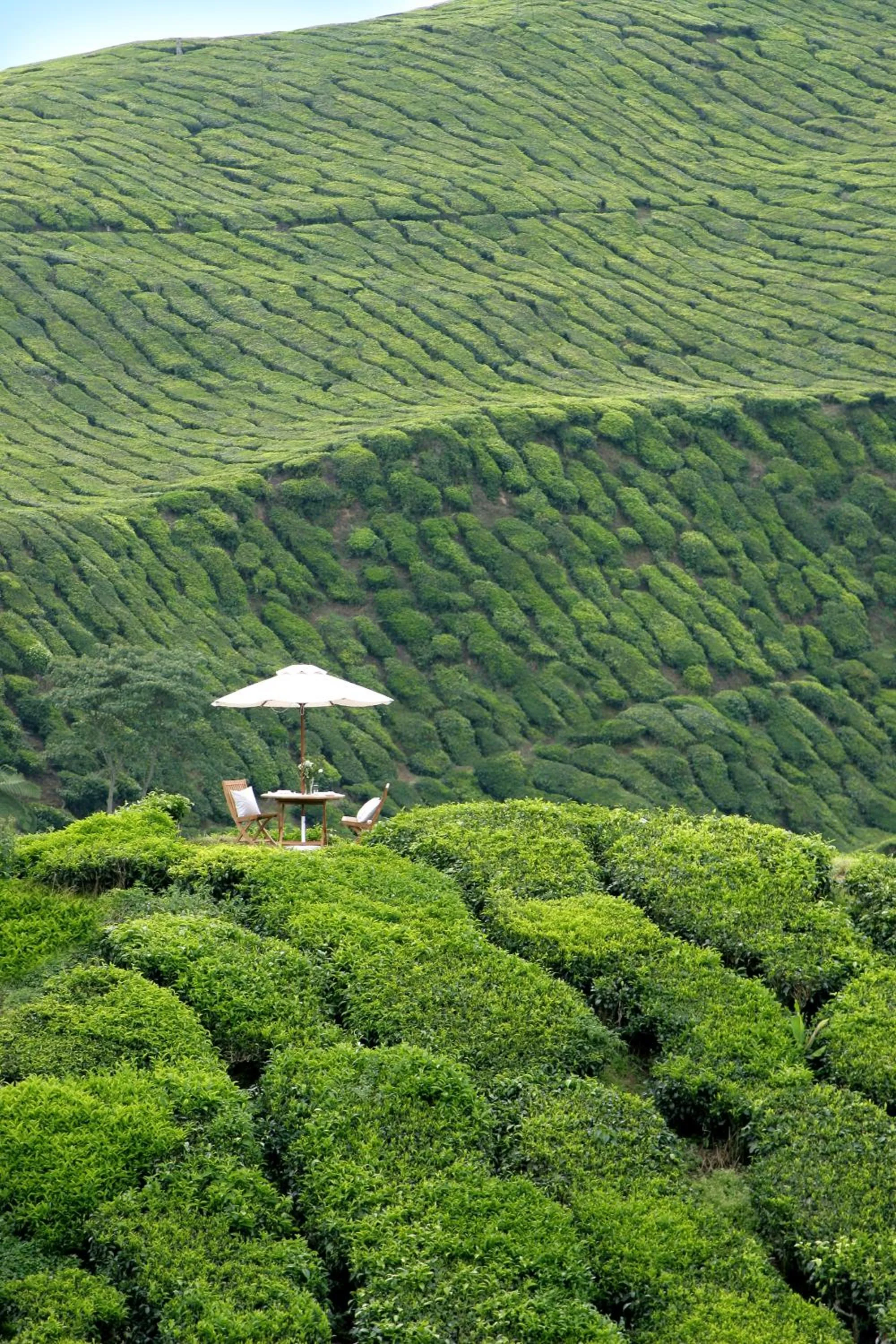 Activities in Cameron Highlands Resort - Small Luxury Hotels of the World