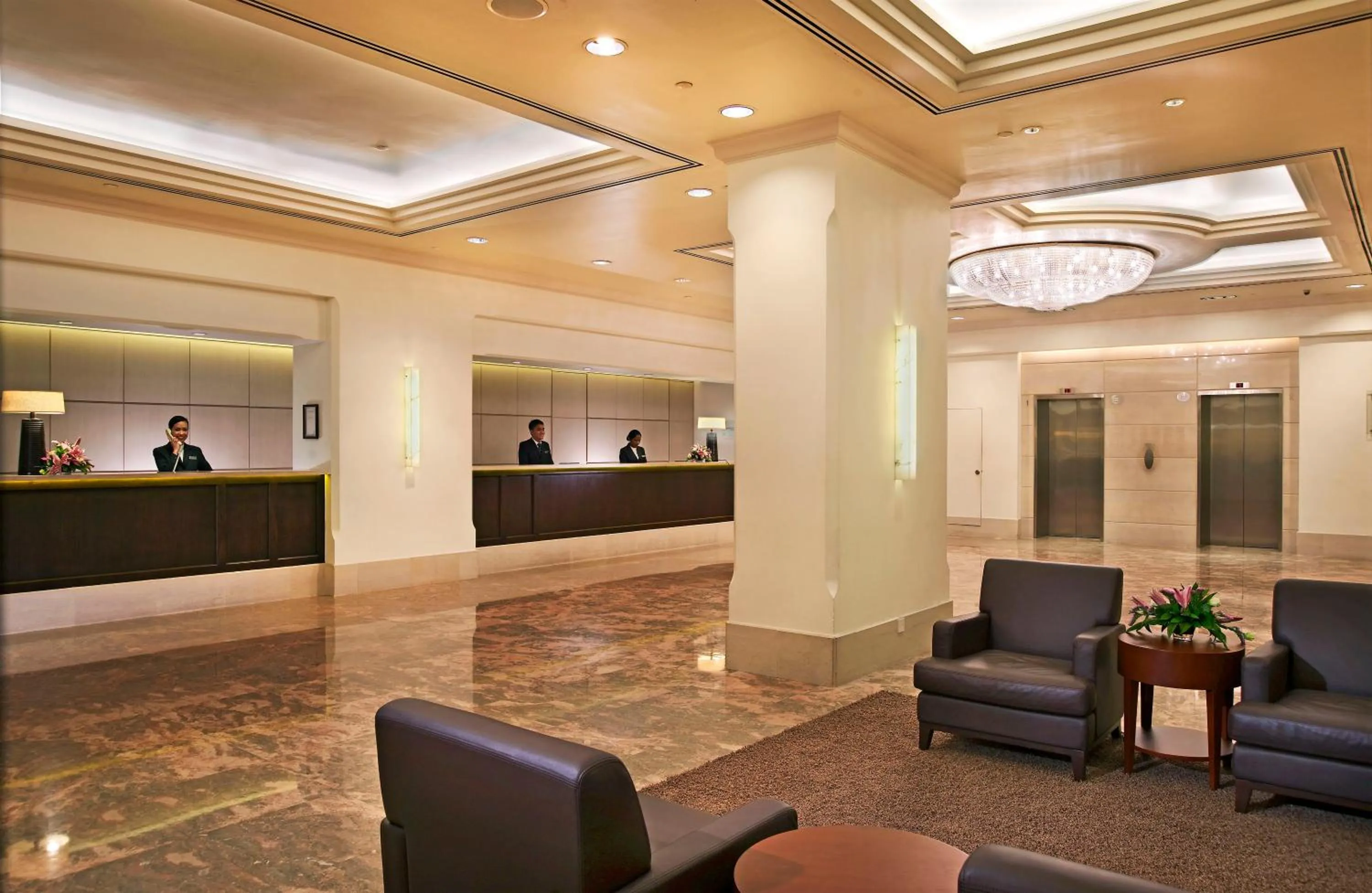 Lobby or reception in York Hotel