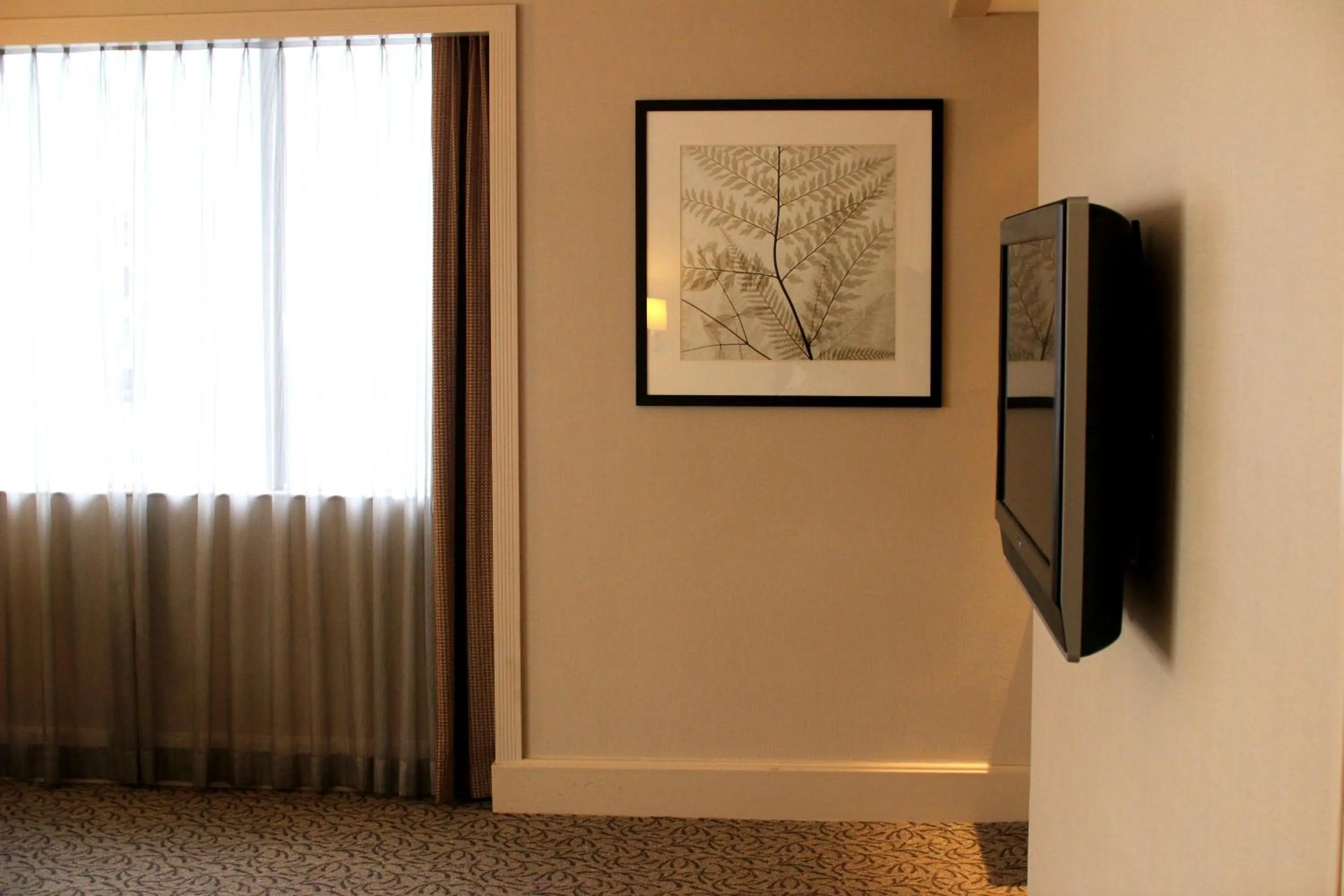 TV and multimedia in York Hotel