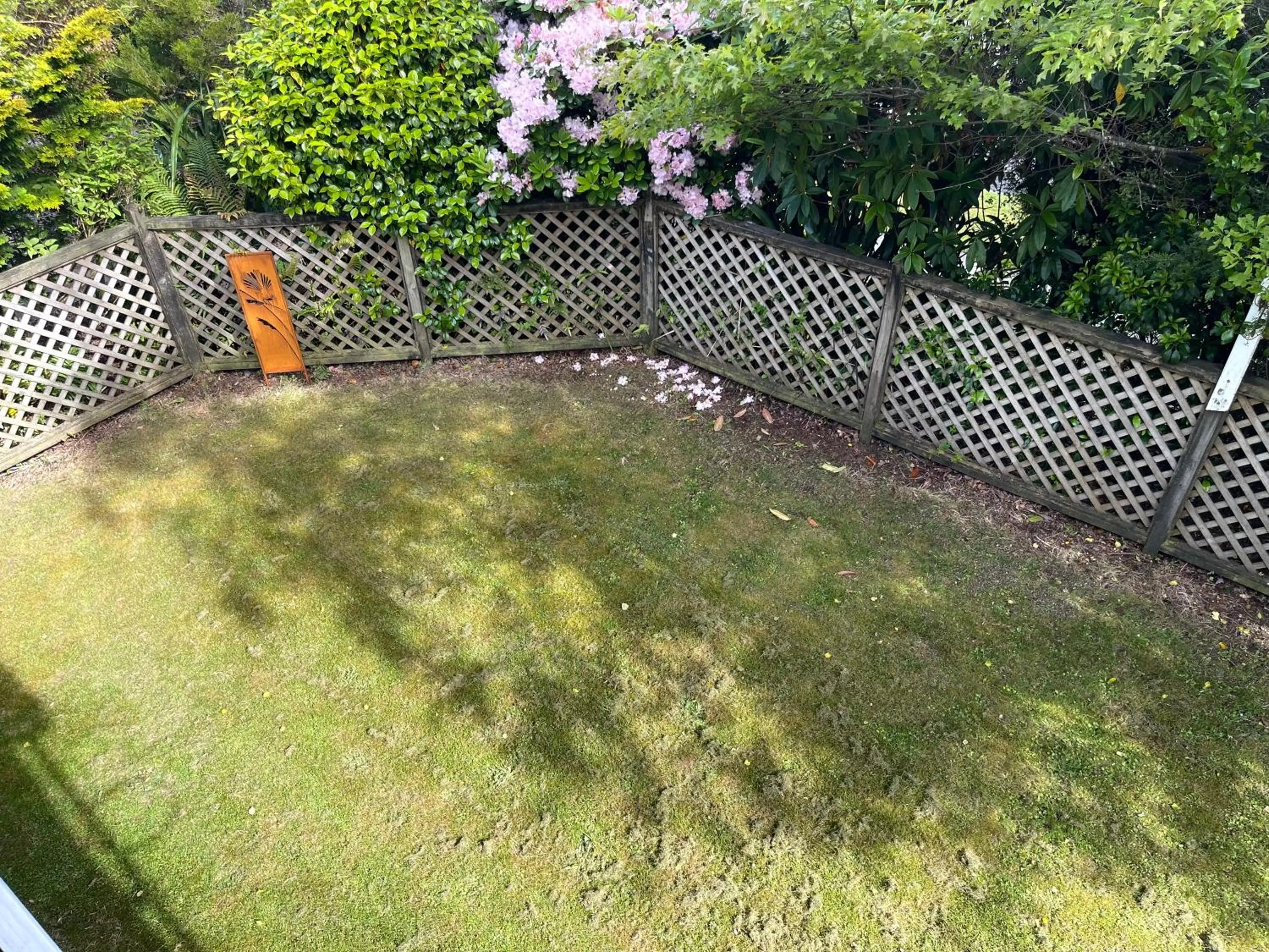 Howard's Mountain Lodge