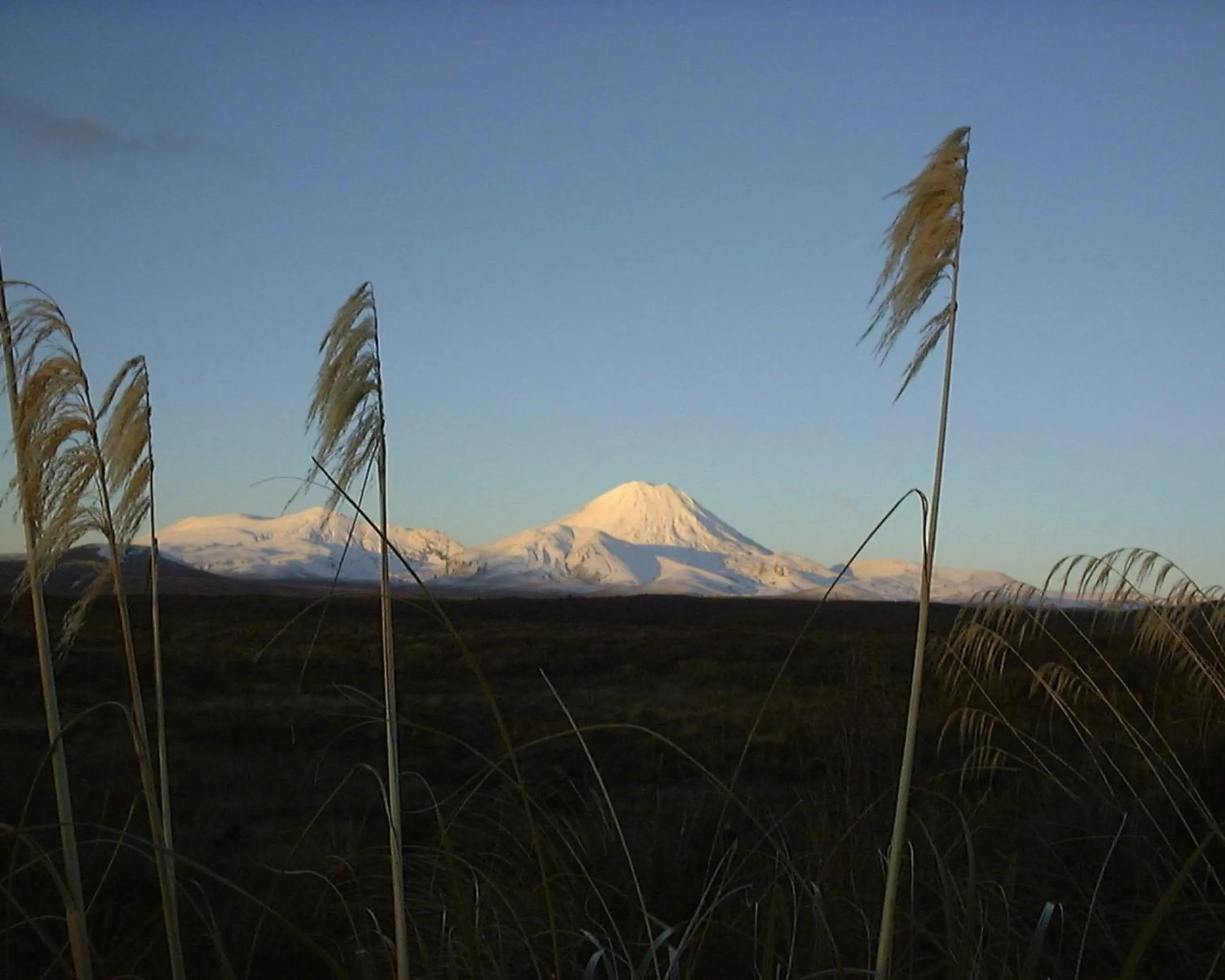 Hiking in Howard's Mountain Lodge