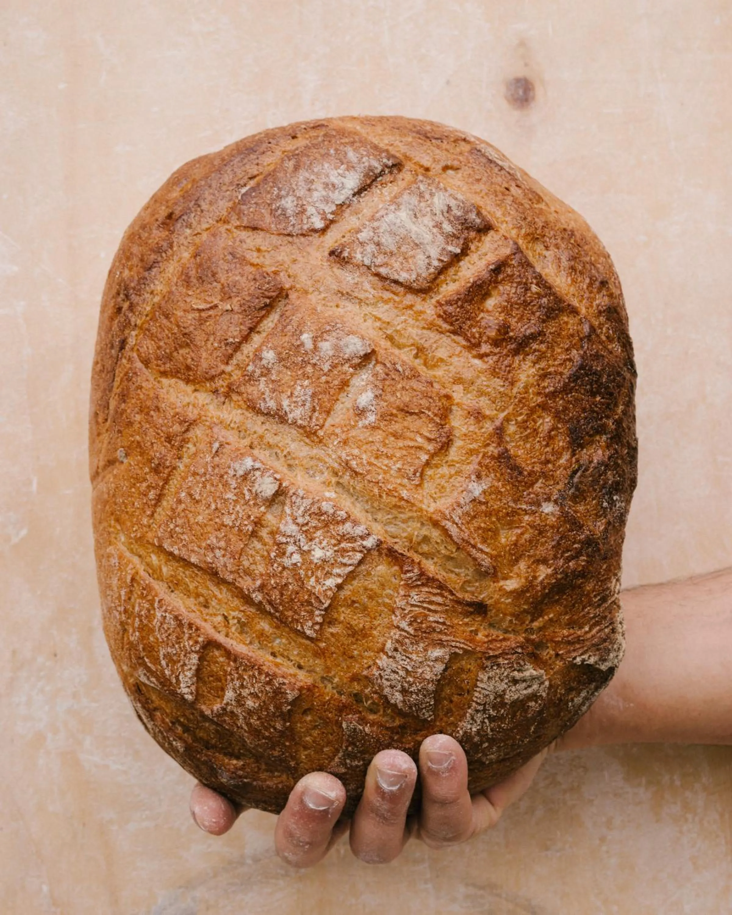 Restaurant/places to eat in Pensione Bencistà