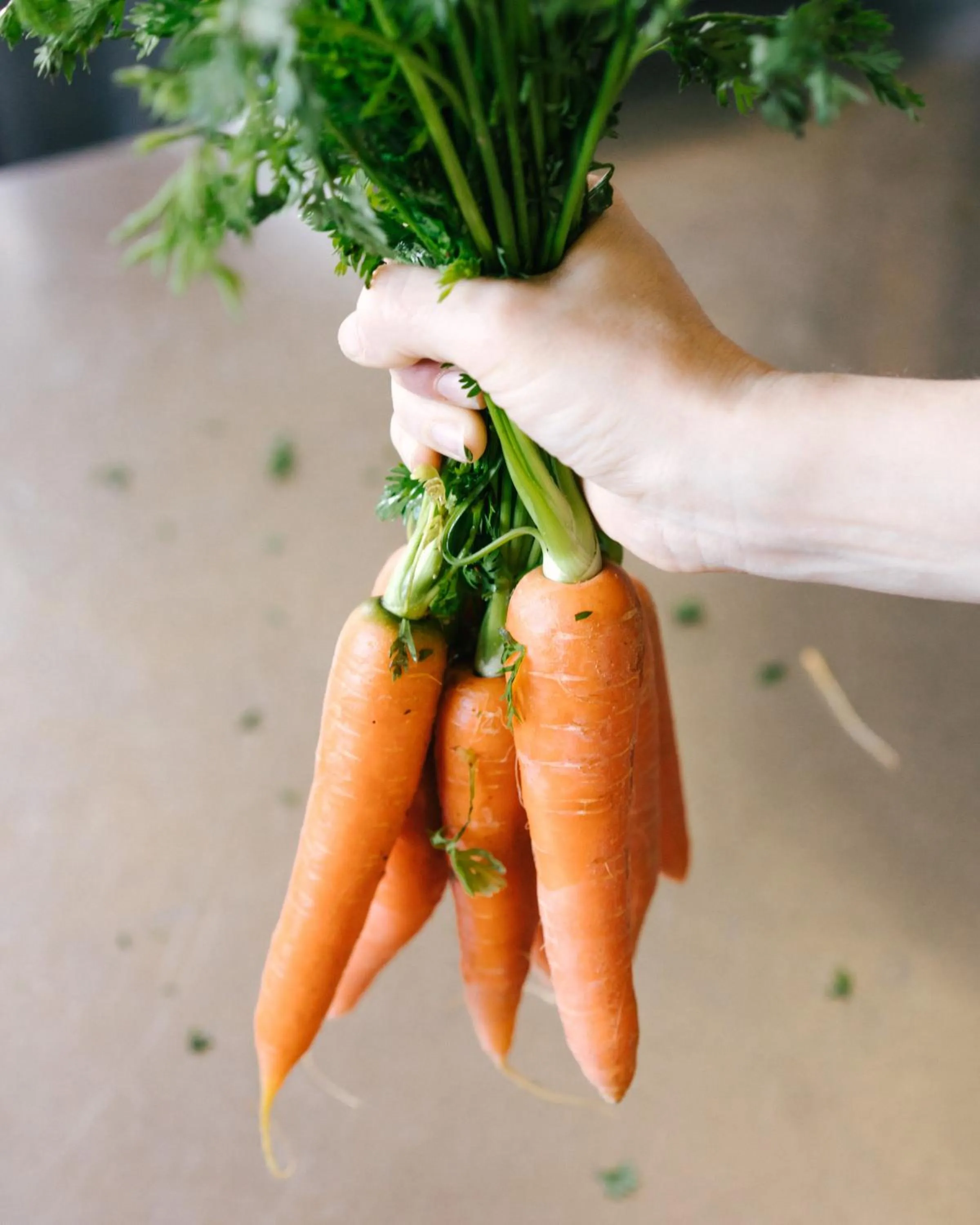 Restaurant/places to eat in Pensione Bencistà