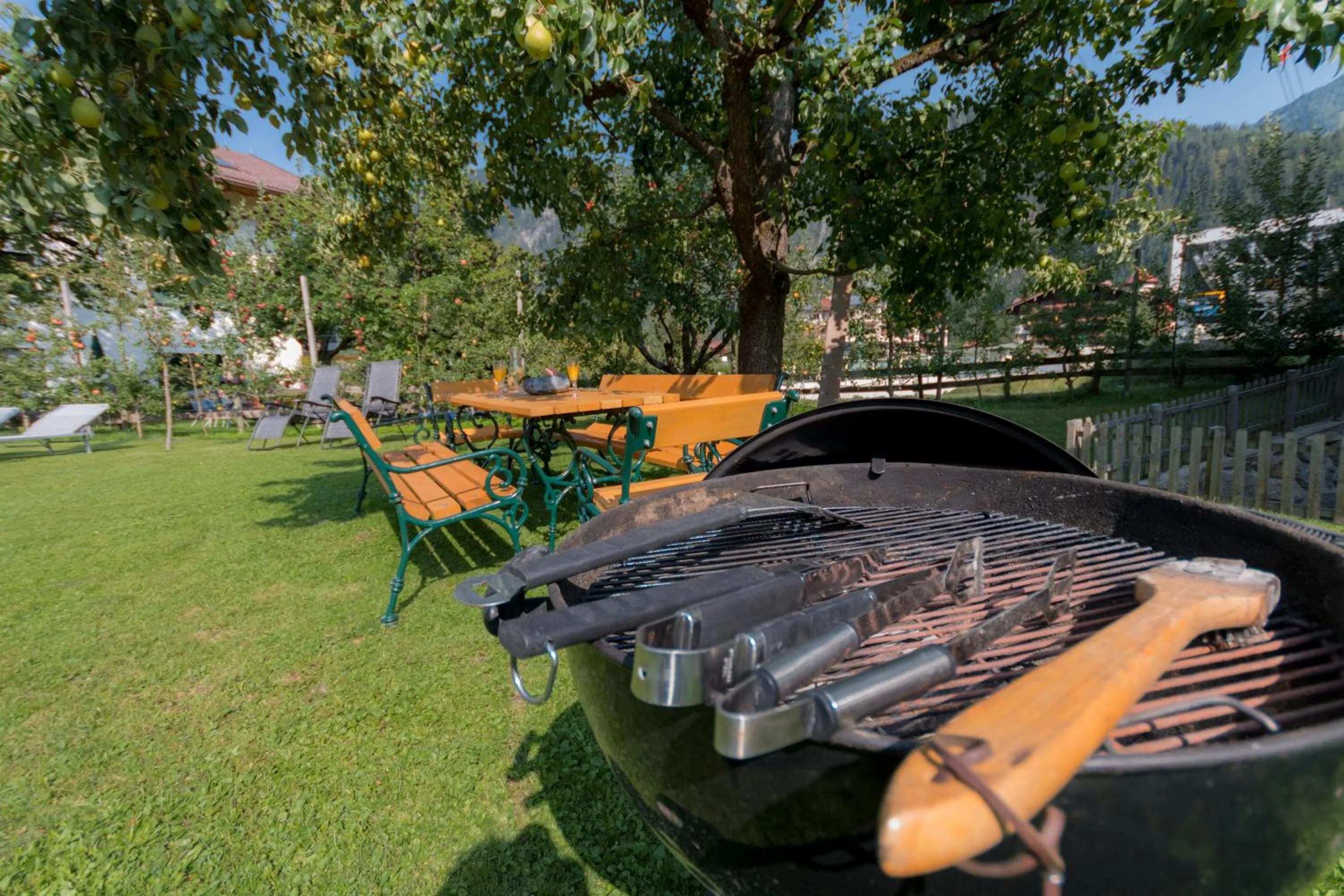 Activities in Apart Central – Premium Mountain&Garden