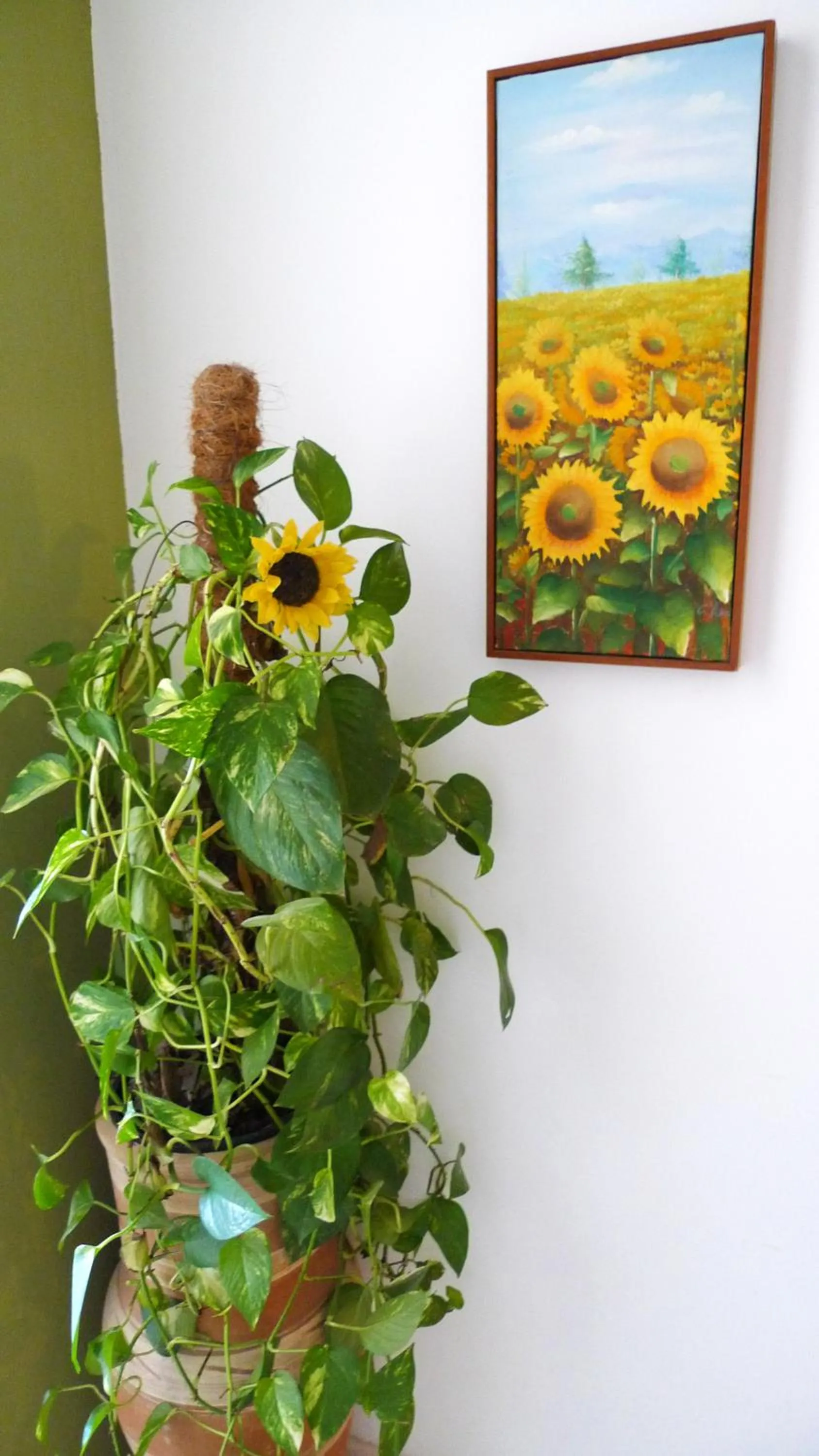 Decorative detail in Villa Alicia Guest House