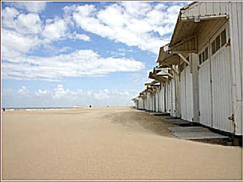 Area and facilities in Hotel Internos