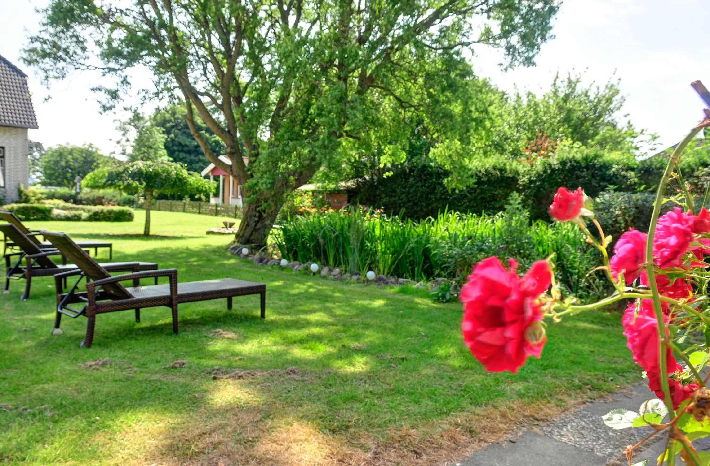 Garden view in Hotel Sonneninsel Fehmarn