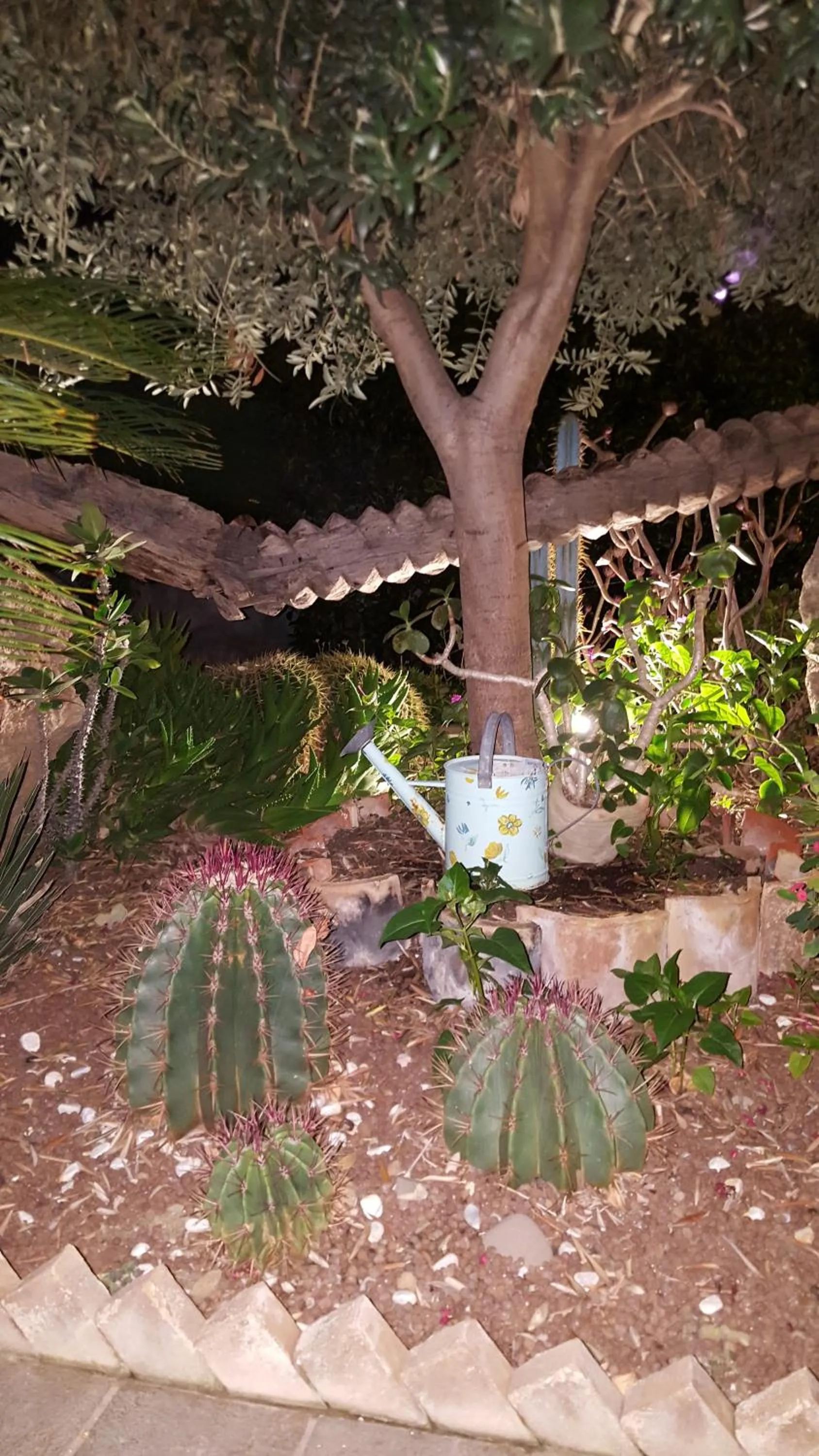 Garden in Villa Margherita