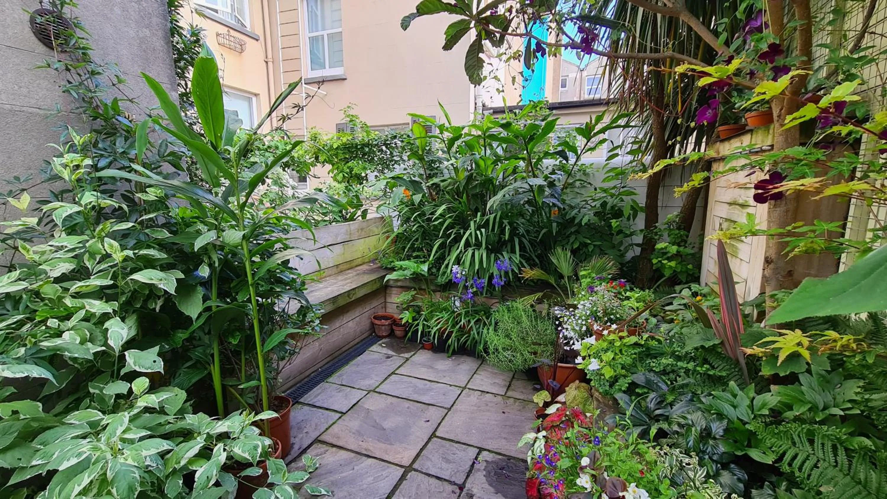 Garden in Red Brighton Blue