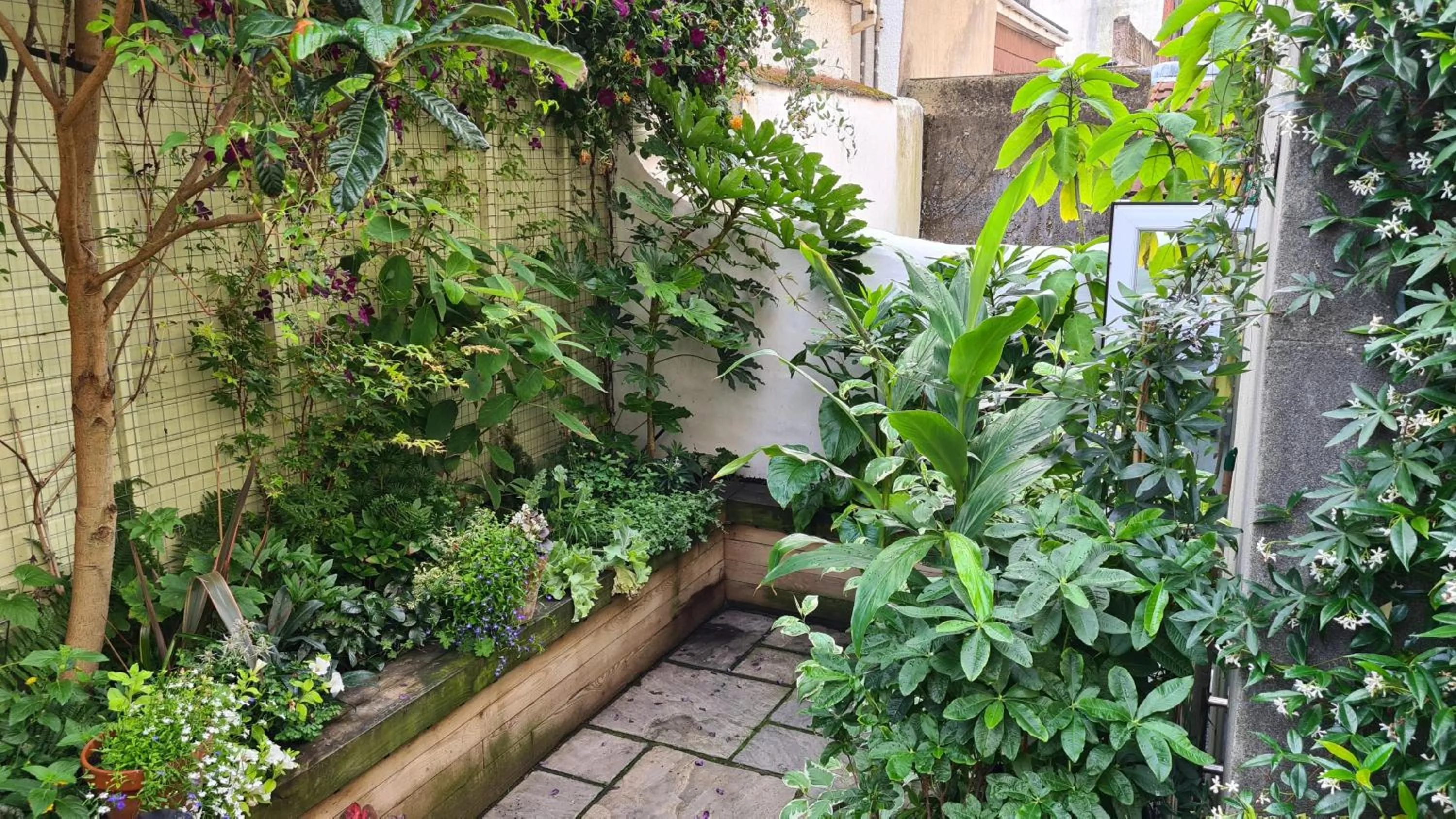 Garden in Red Brighton Blue