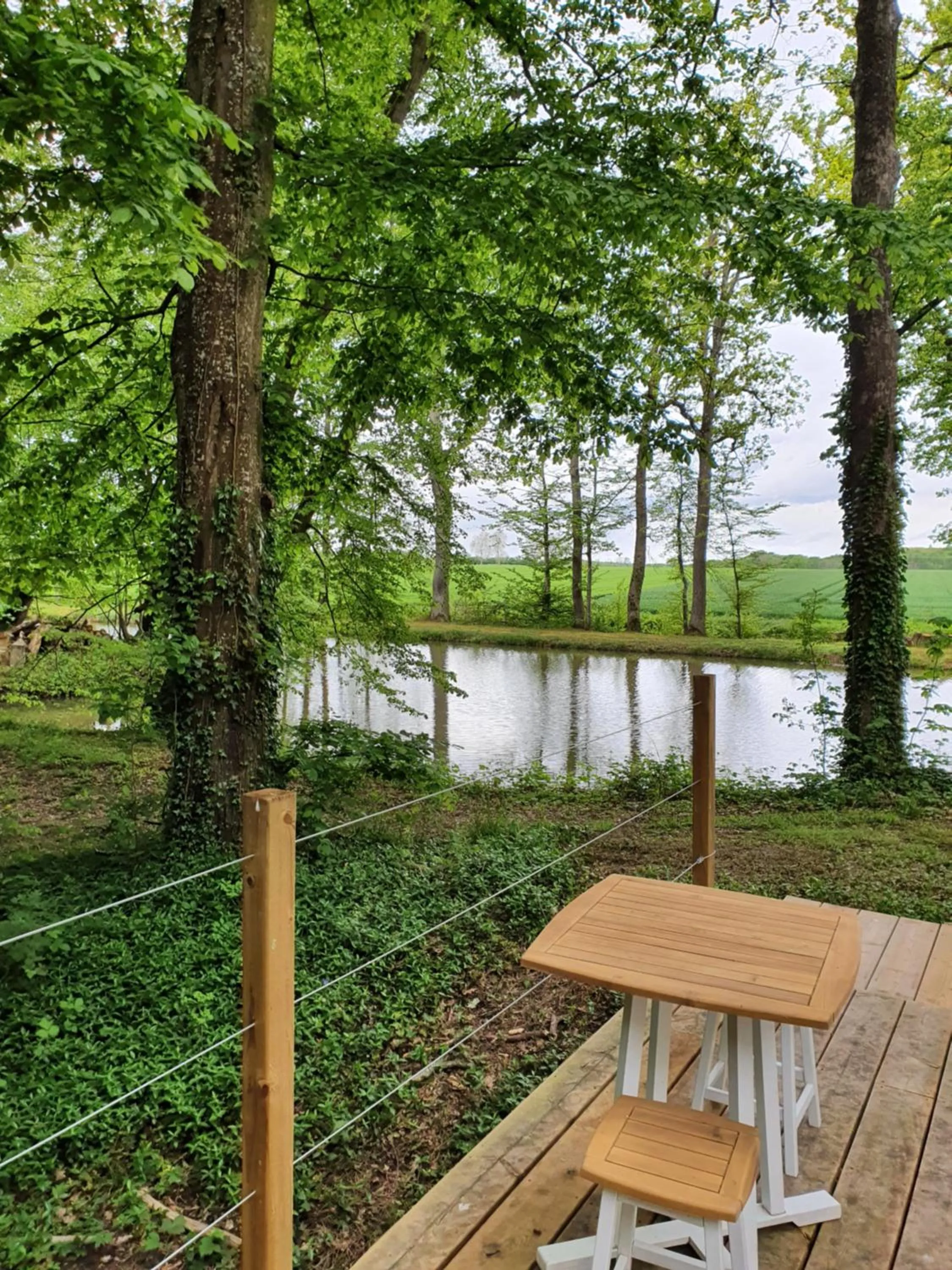 Natural landscape in Château de Montabert