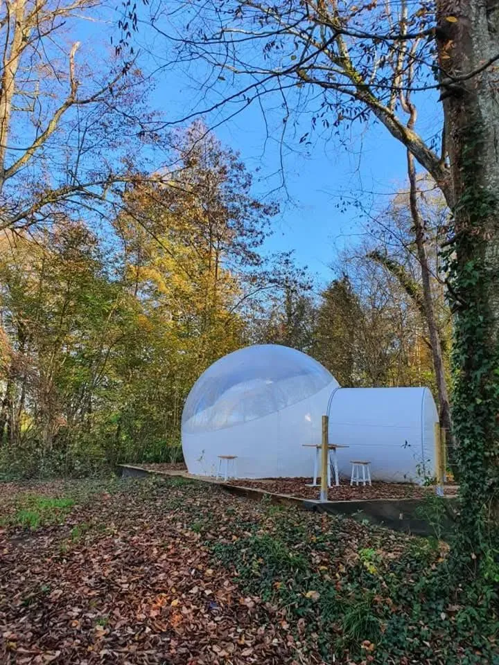 Photo of the whole room in Château de Montabert