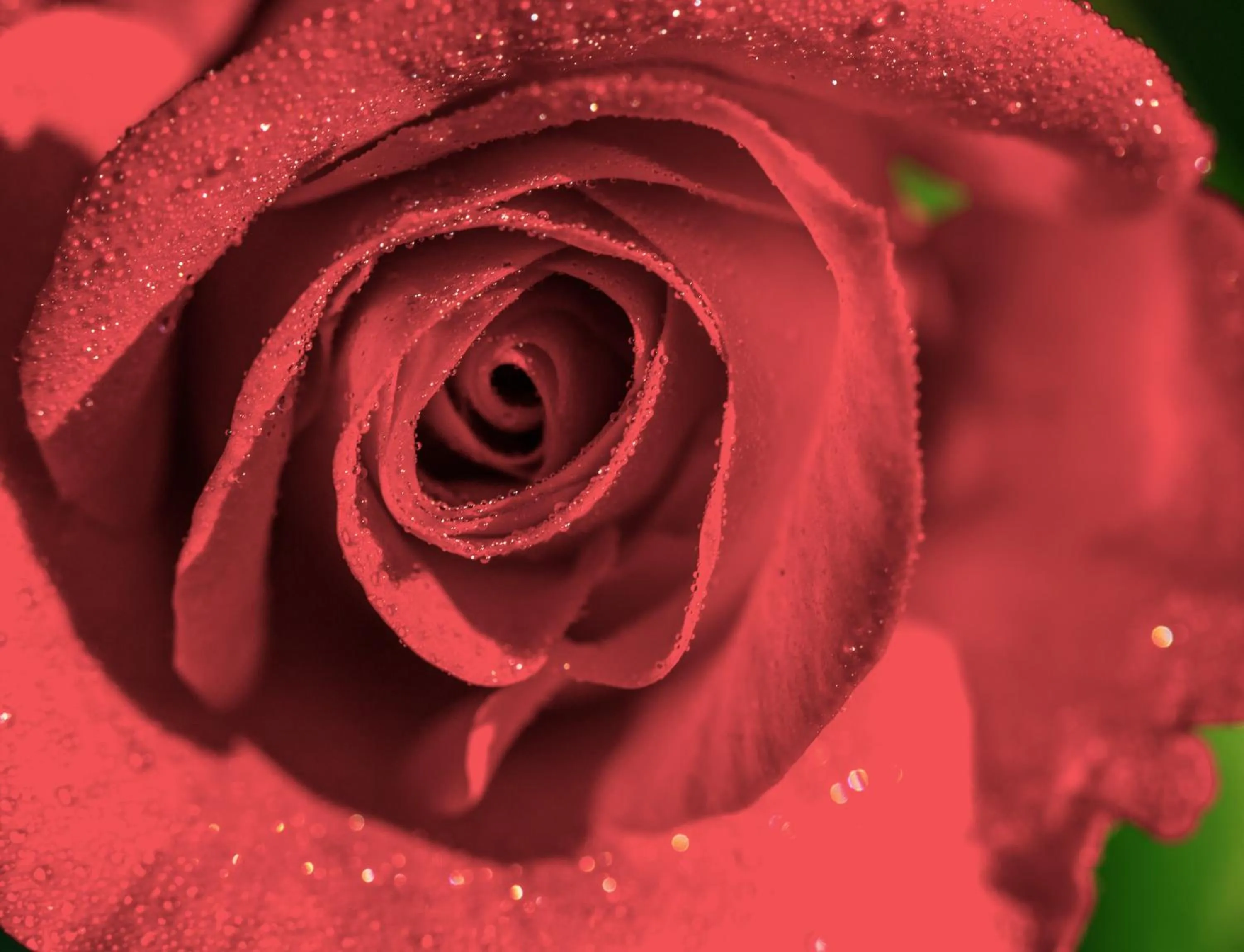 Hiking in The Wild Seeds