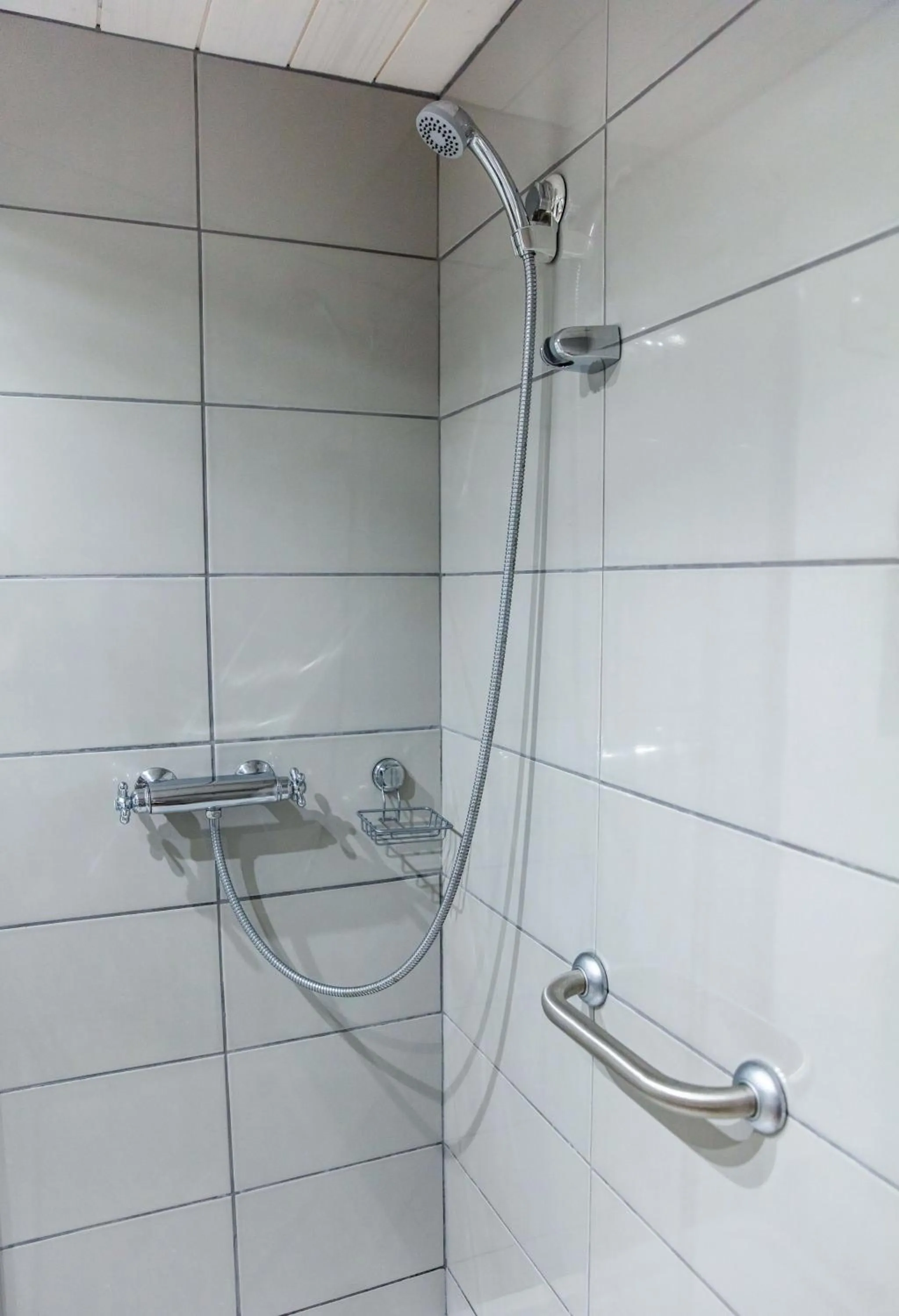 Bathroom in The Wild Seeds