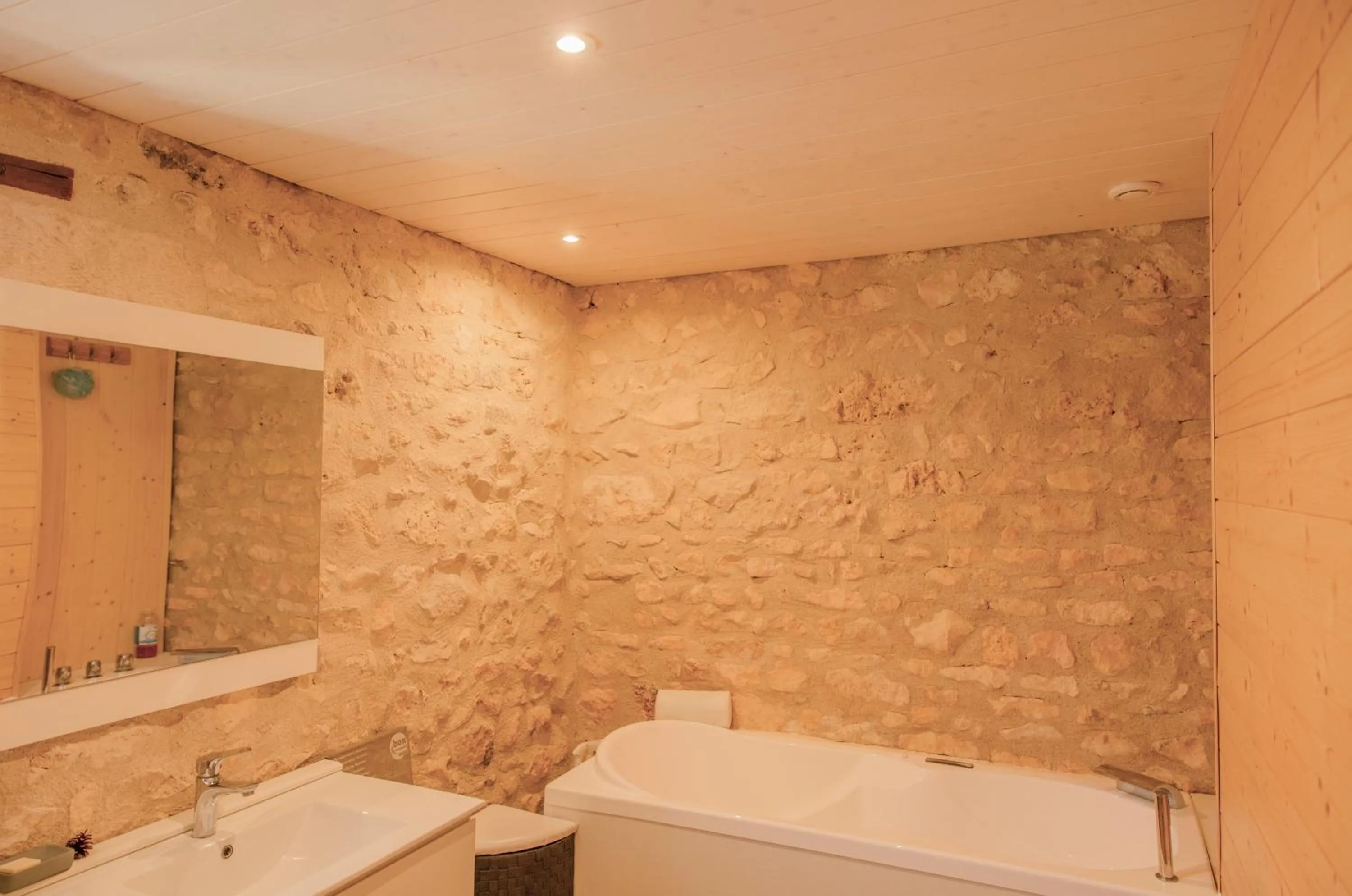 Bathroom in The Wild Seeds