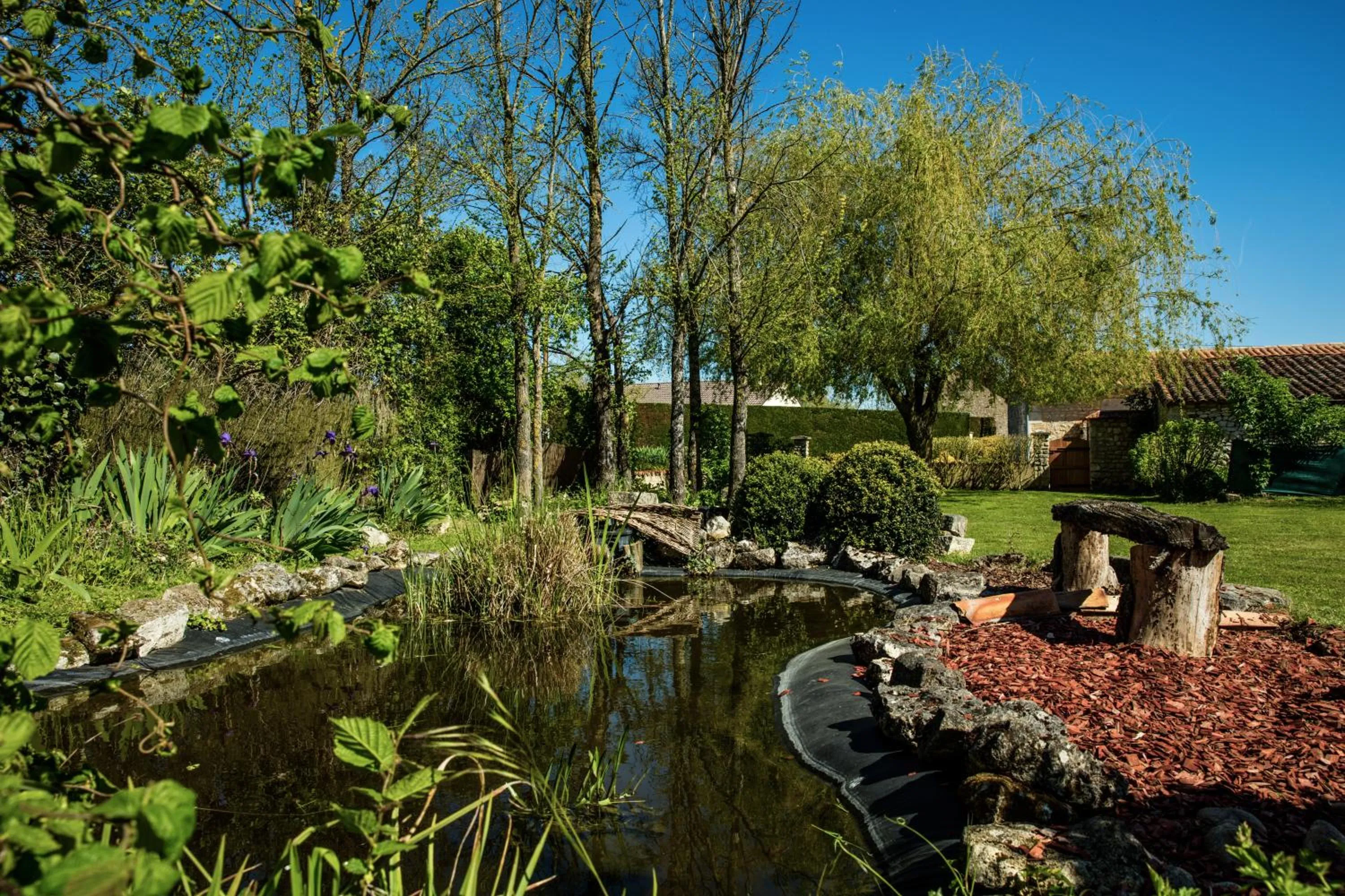 Fishing in The Wild Seeds