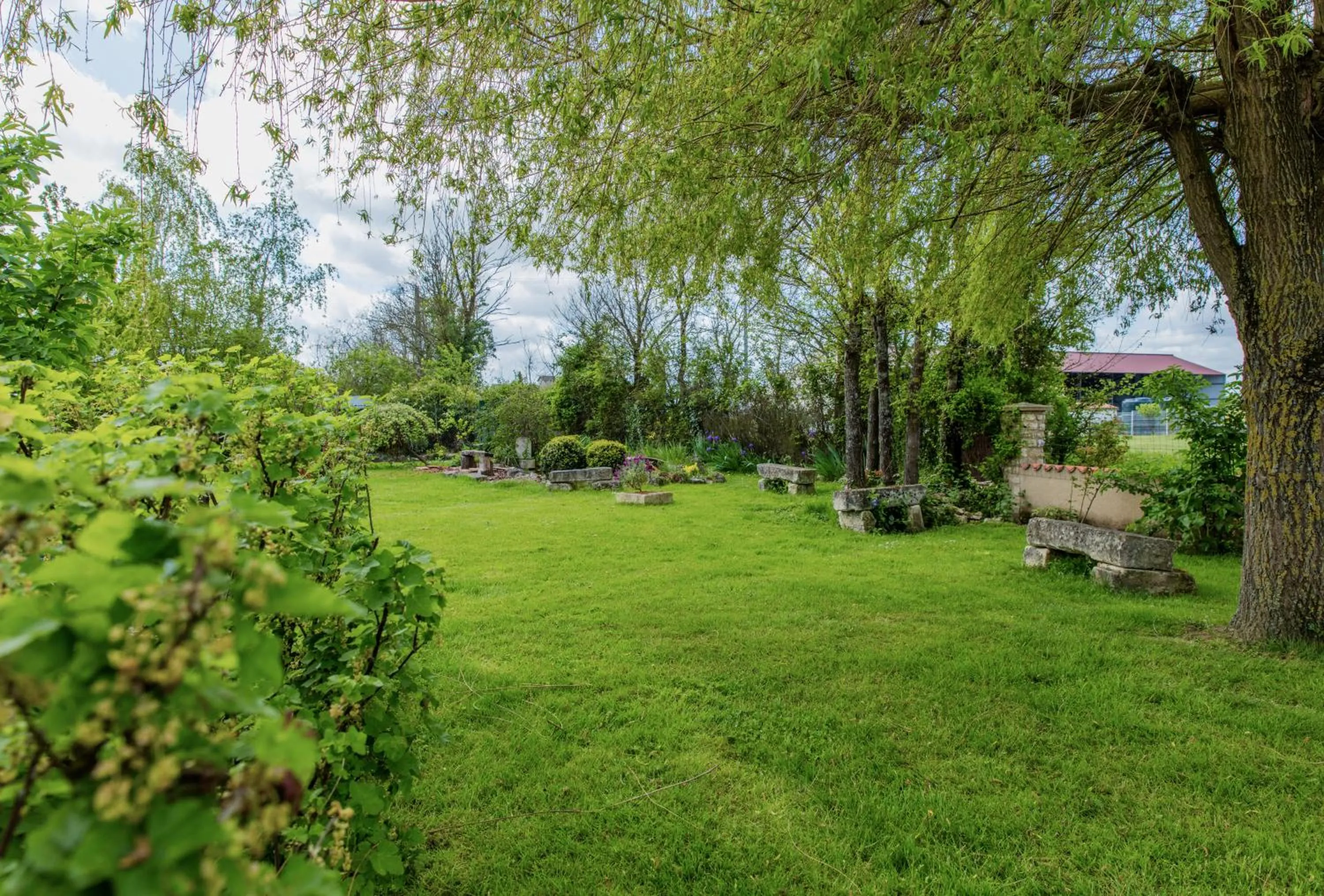 Garden view in The Wild Seeds