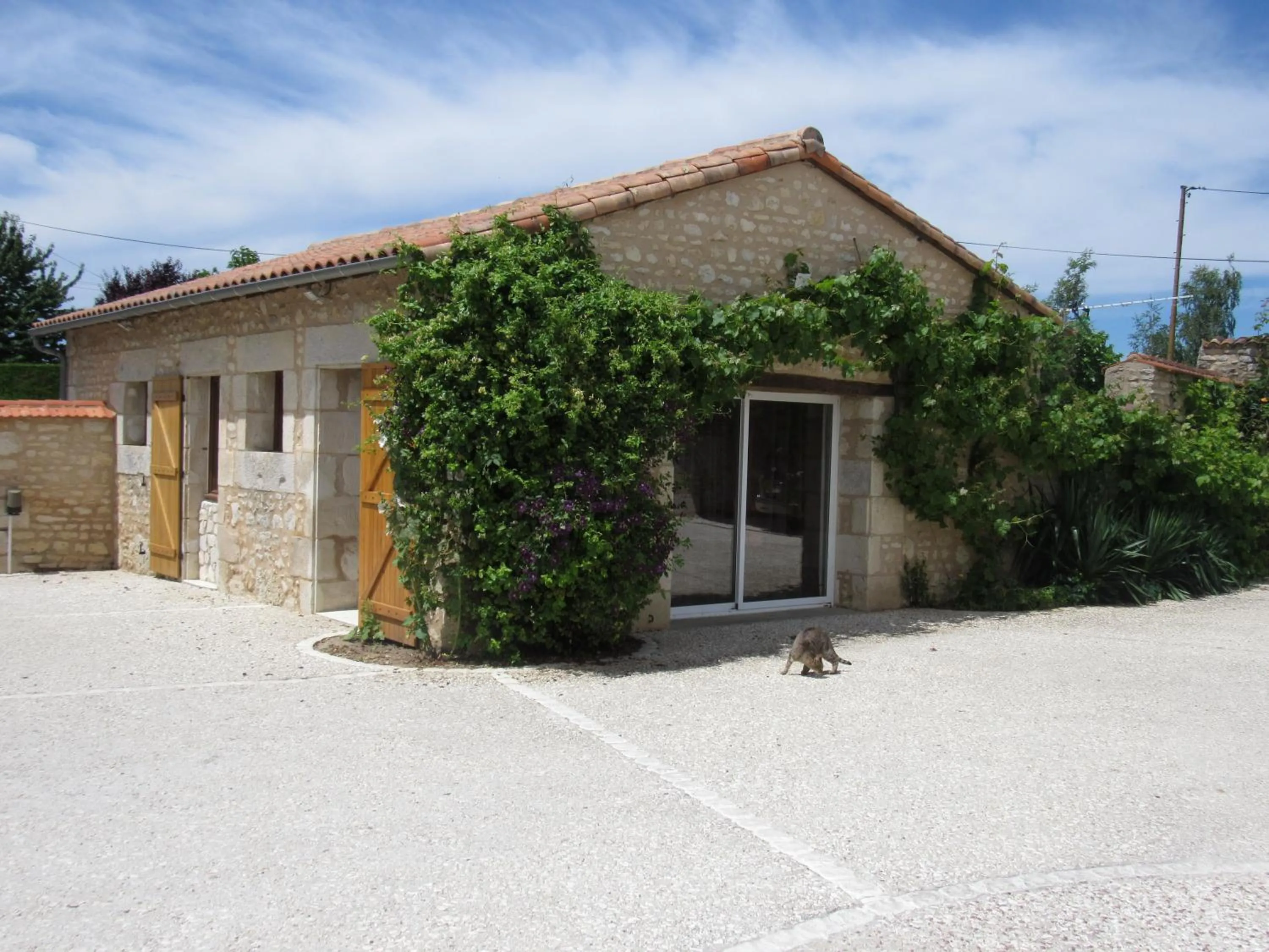 Facade/entrance in The Wild Seeds