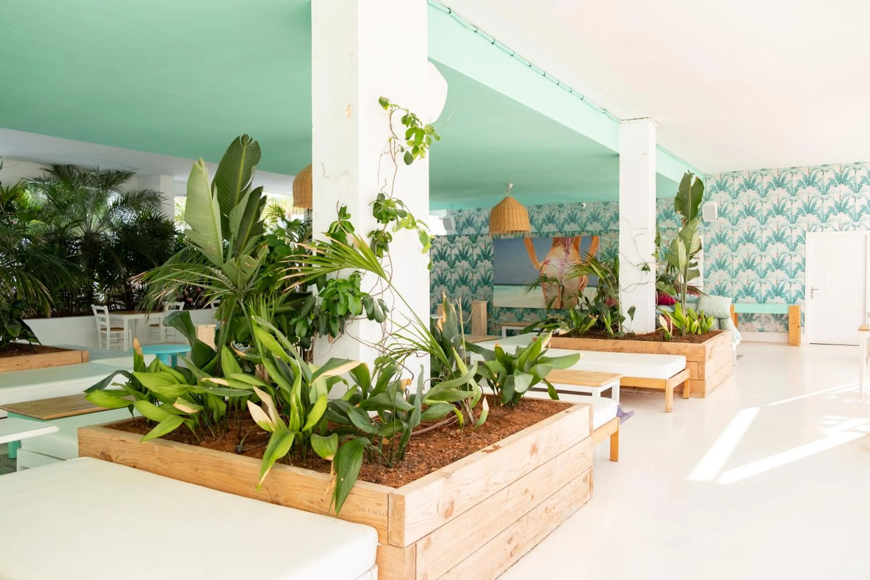 Lounge or bar in Beach Star Adults Only Party Hotel Ibiza