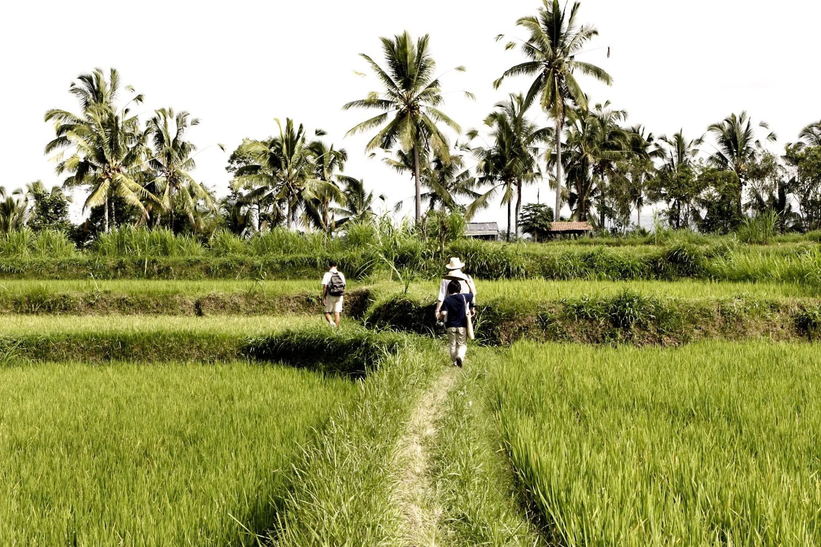 Nearby landmark in Hanging Gardens of Bali