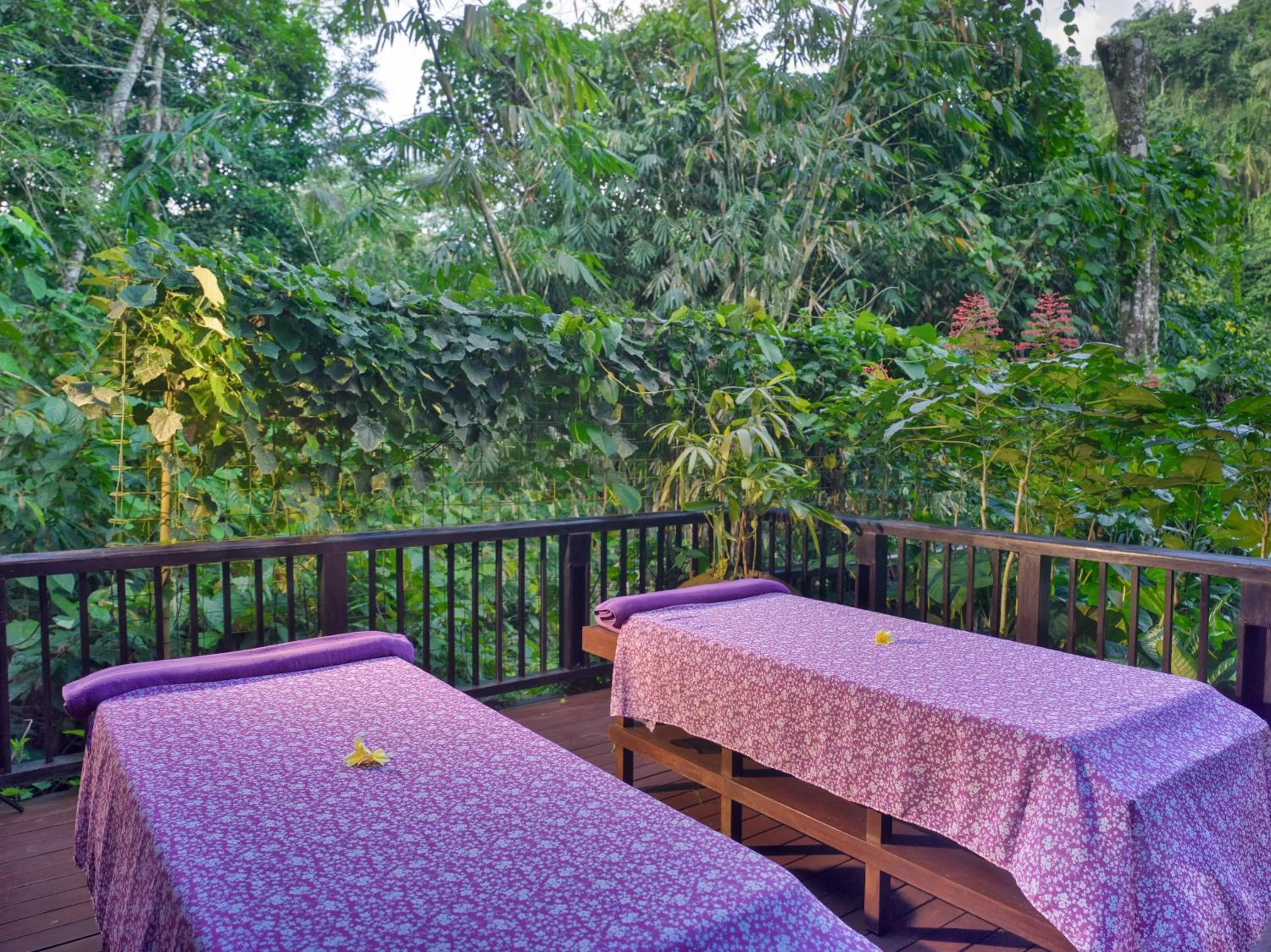 Spa and wellness centre/facilities in Hanging Gardens of Bali