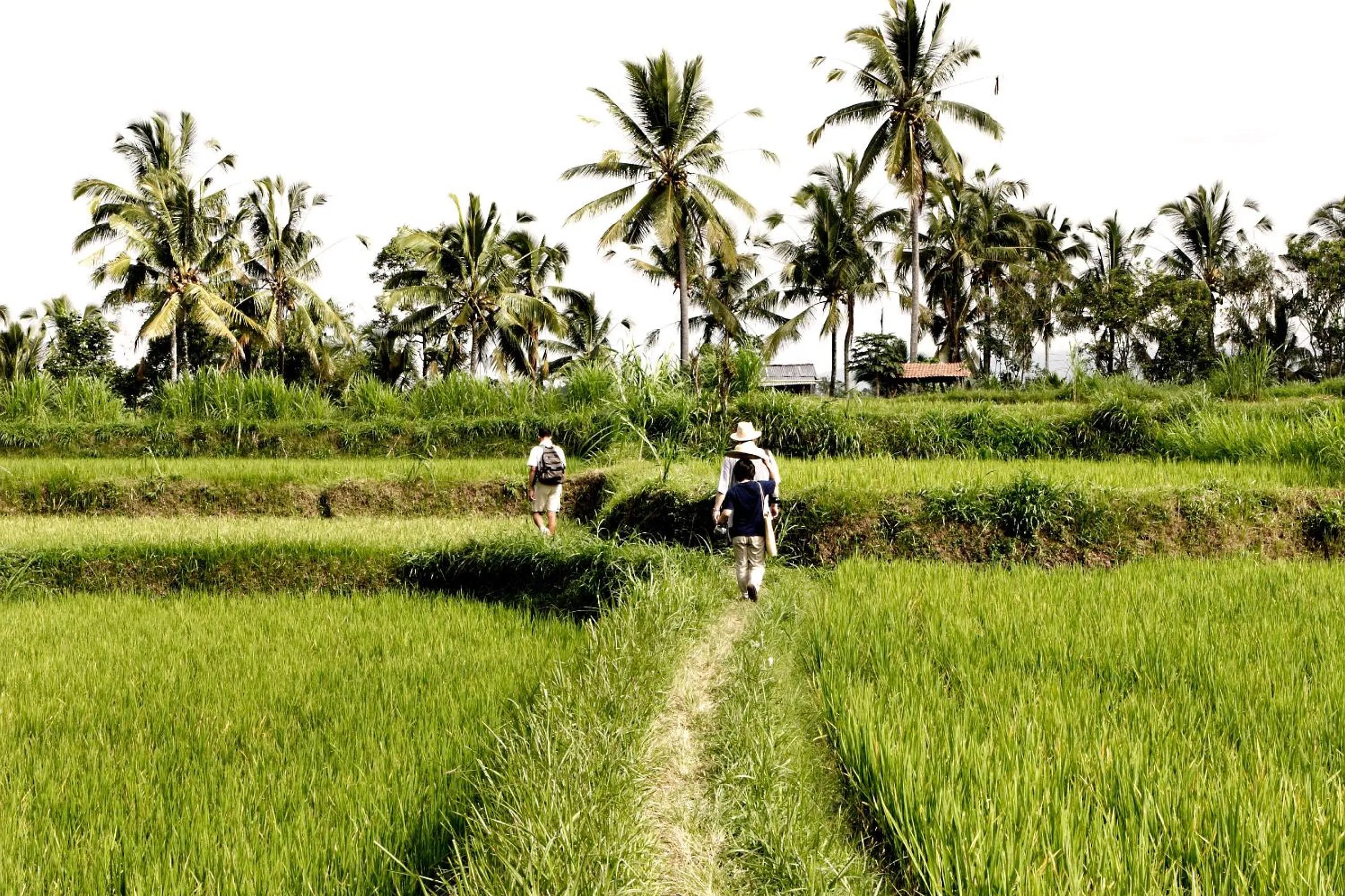 Nearby landmark in Hanging Gardens of Bali