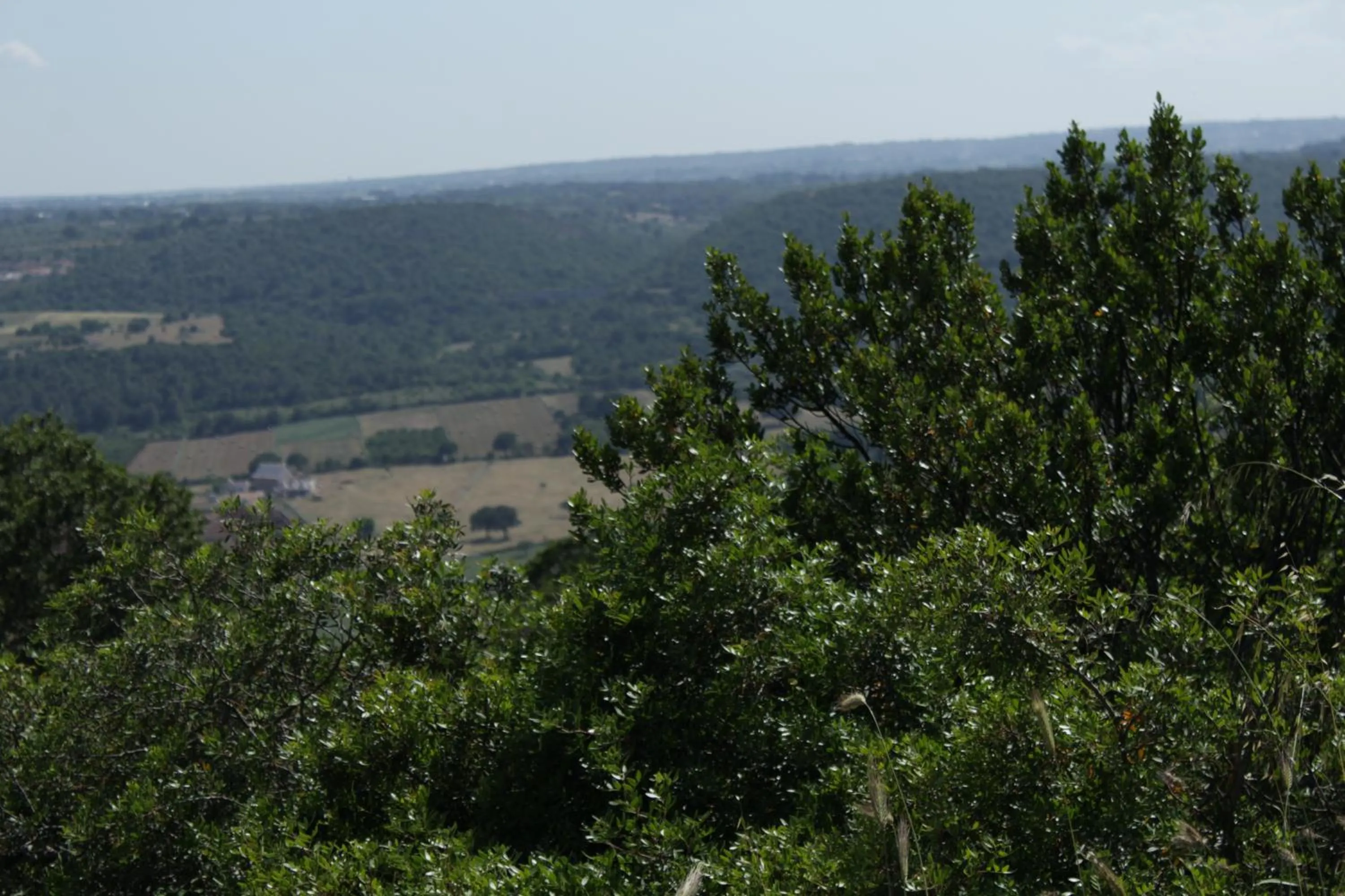 On site in La Suite nel Bosco