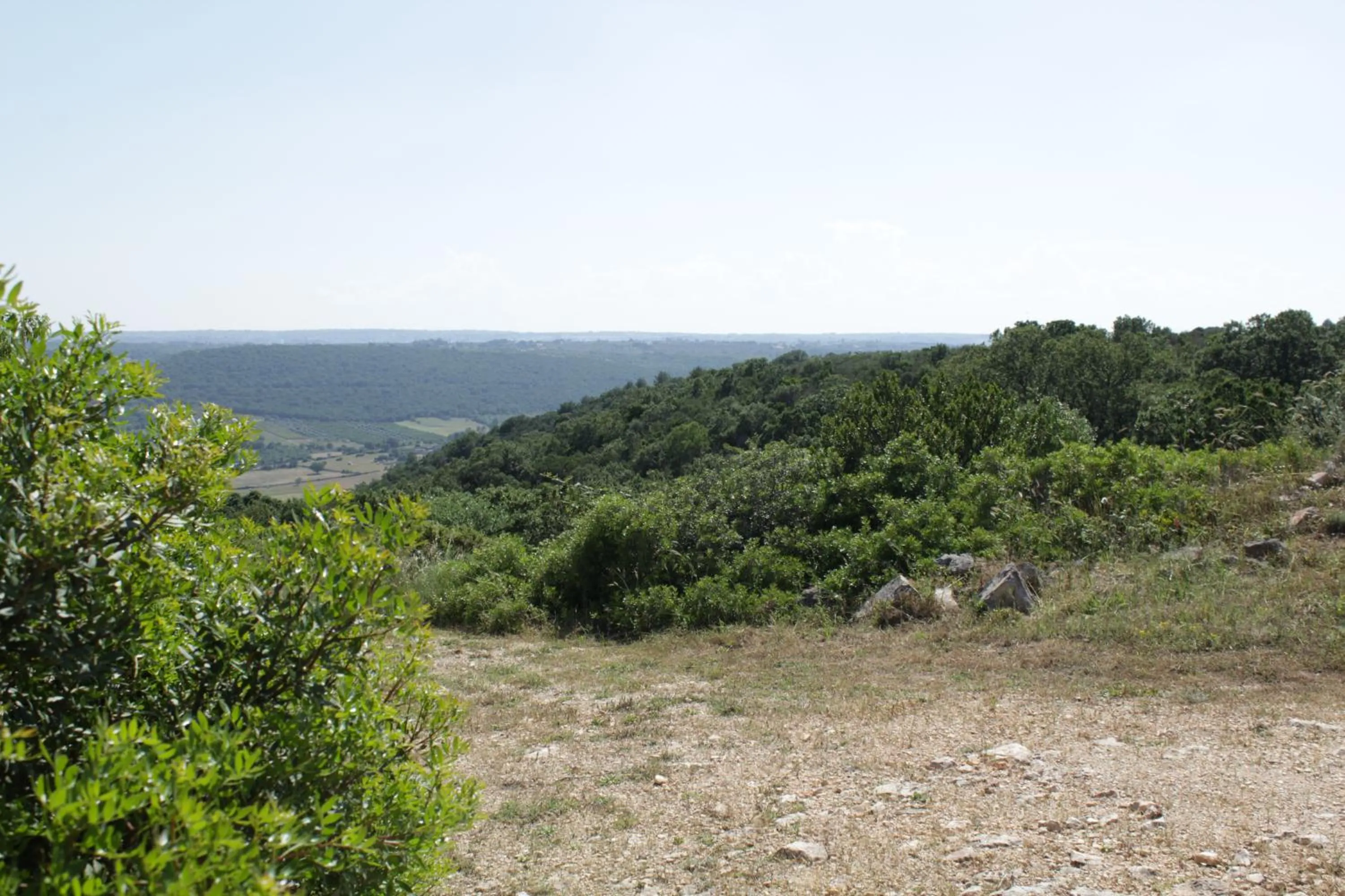 On site in La Suite nel Bosco