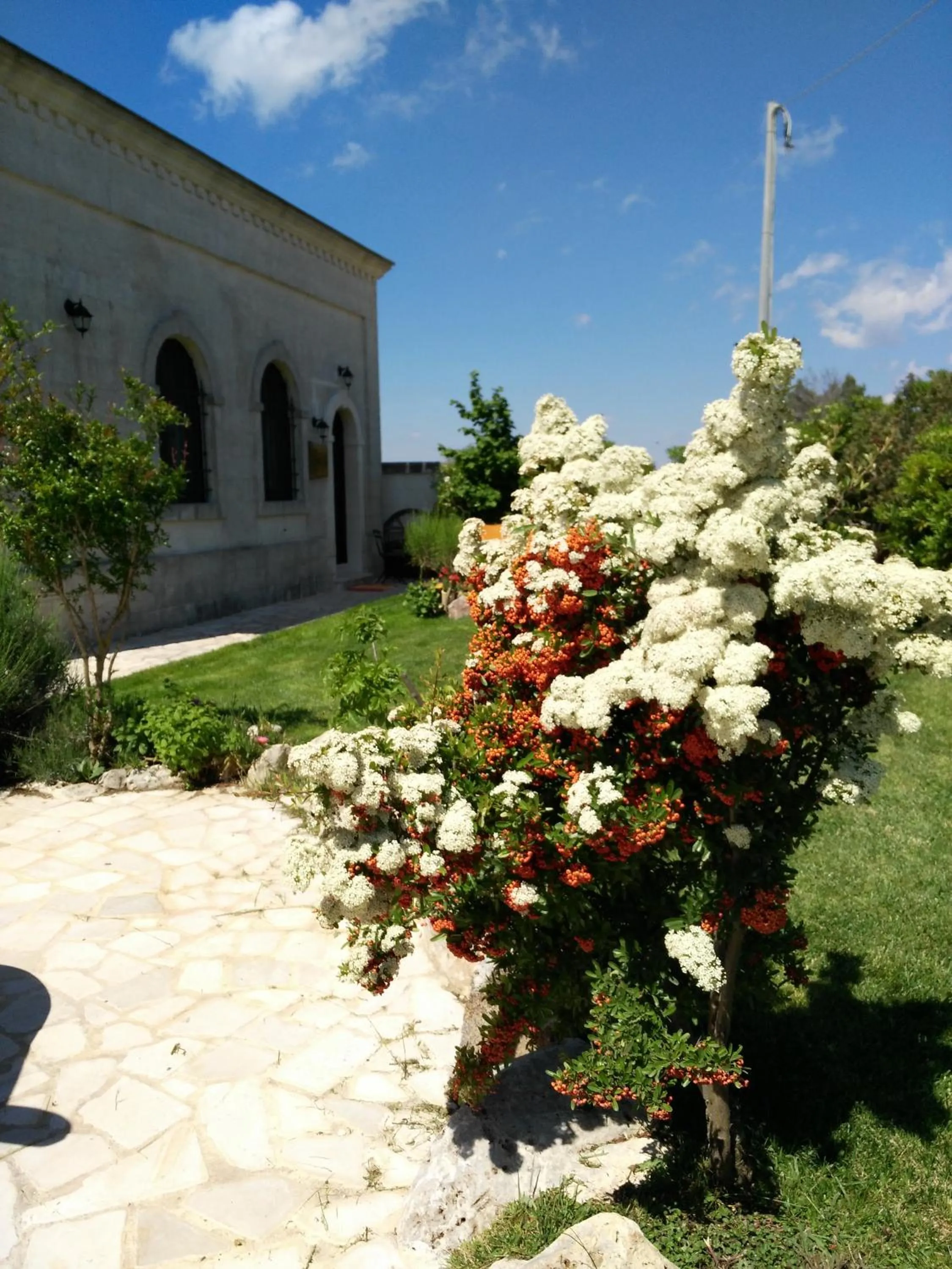 Property building in La Suite nel Bosco