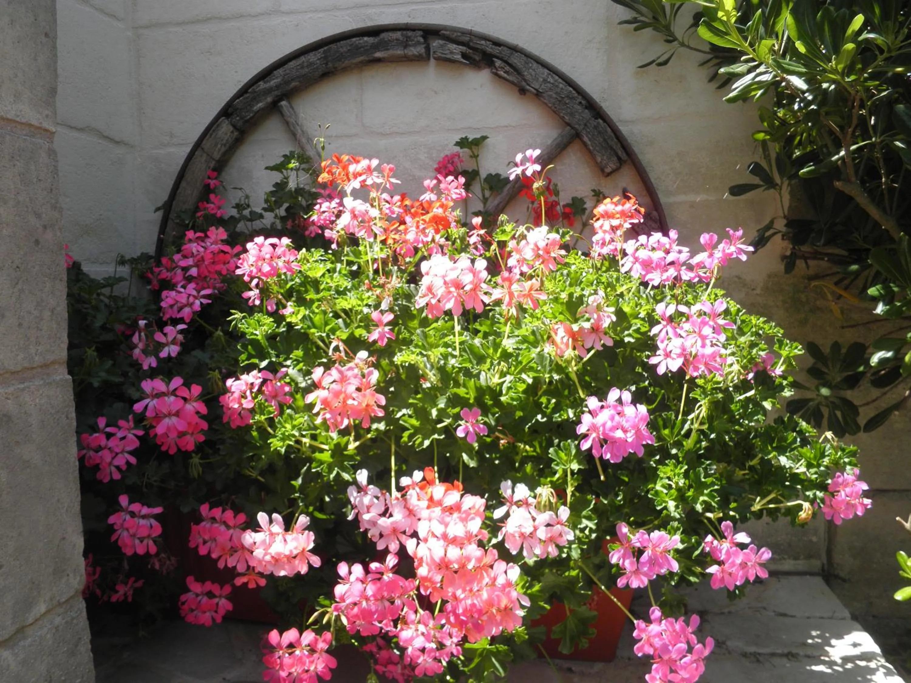 Other in La Suite nel Bosco