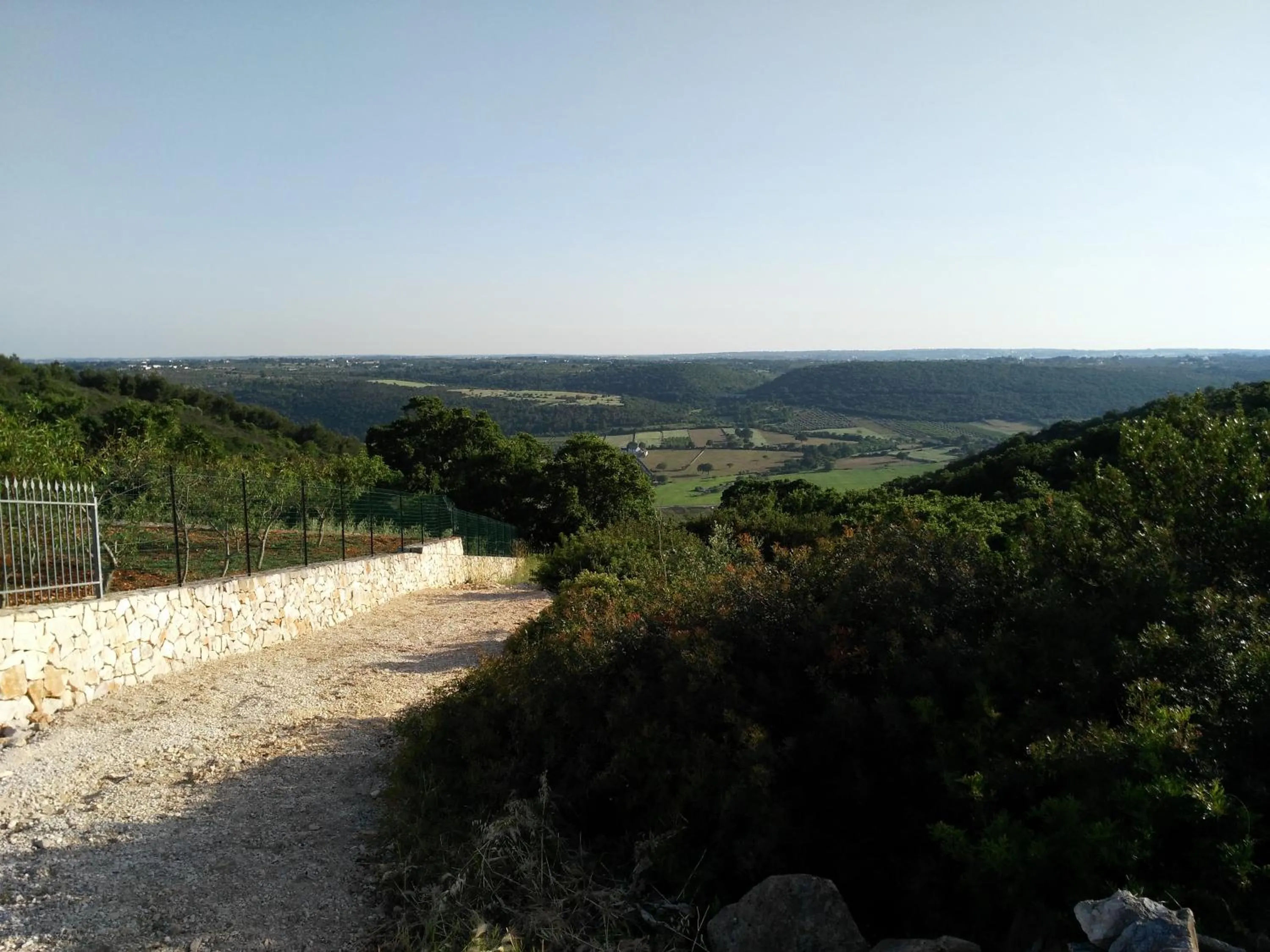 Other in La Suite nel Bosco