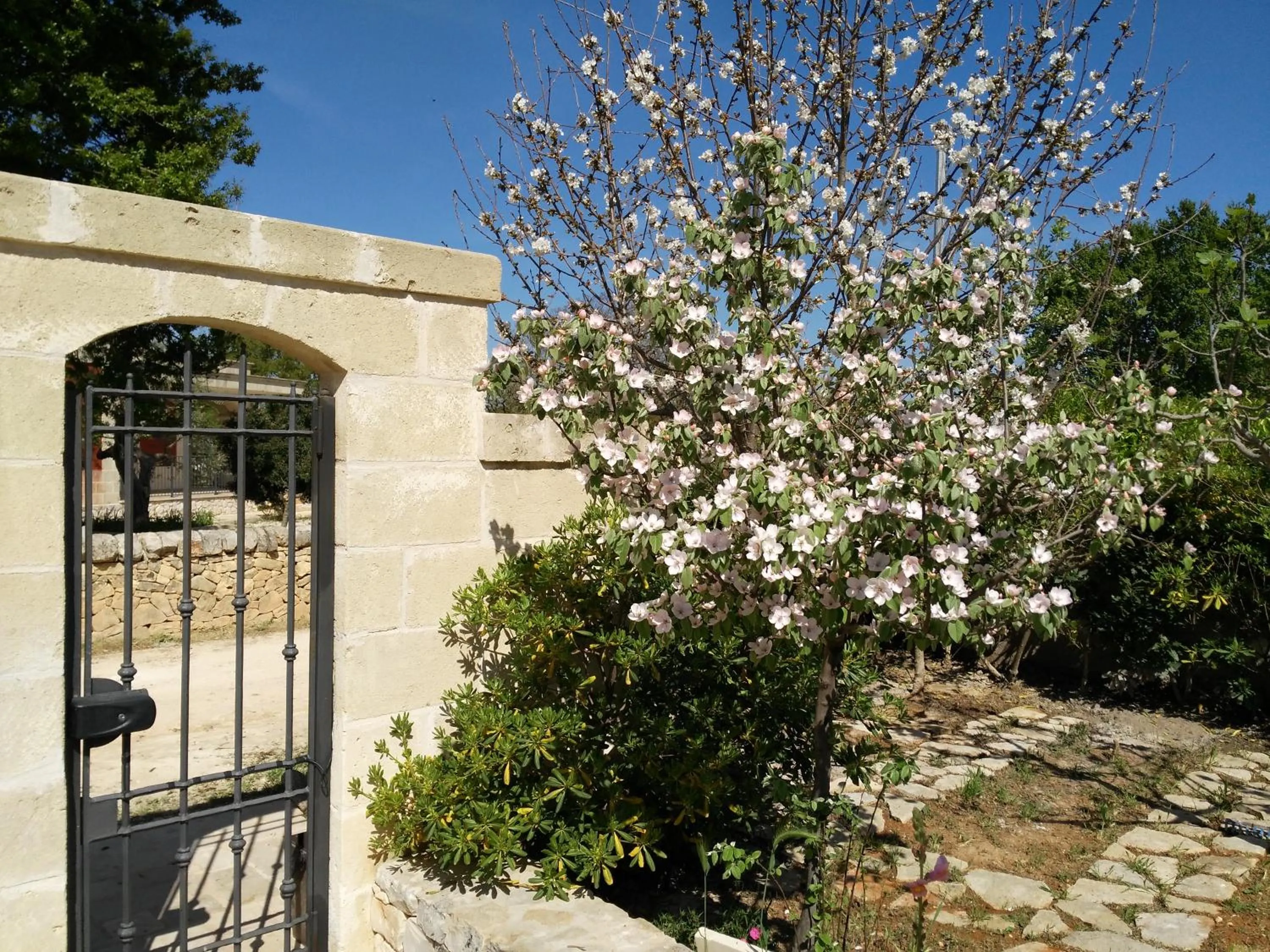 Property building in La Suite nel Bosco