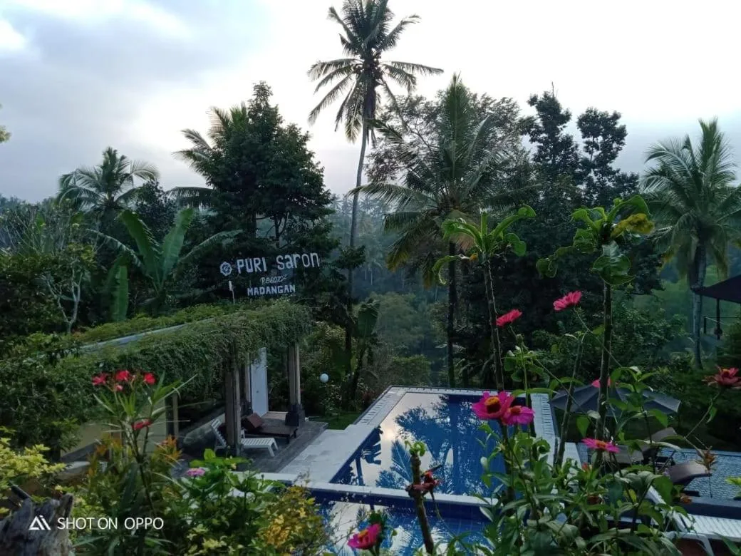 View (from property/room) in Puri Saron Hotel Madangan - Gianyar