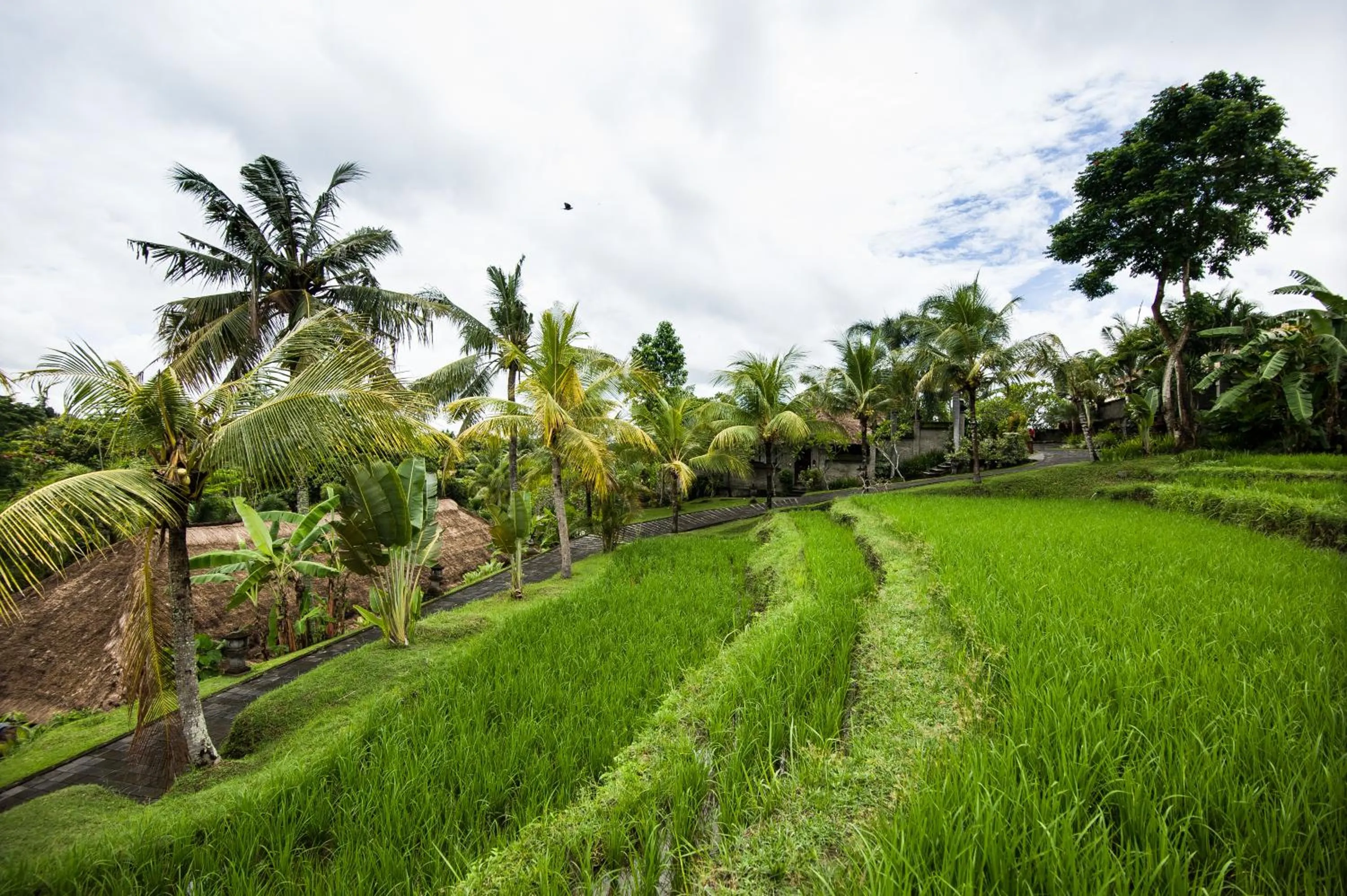 Garden view in Santi Mandala Villa & Spa