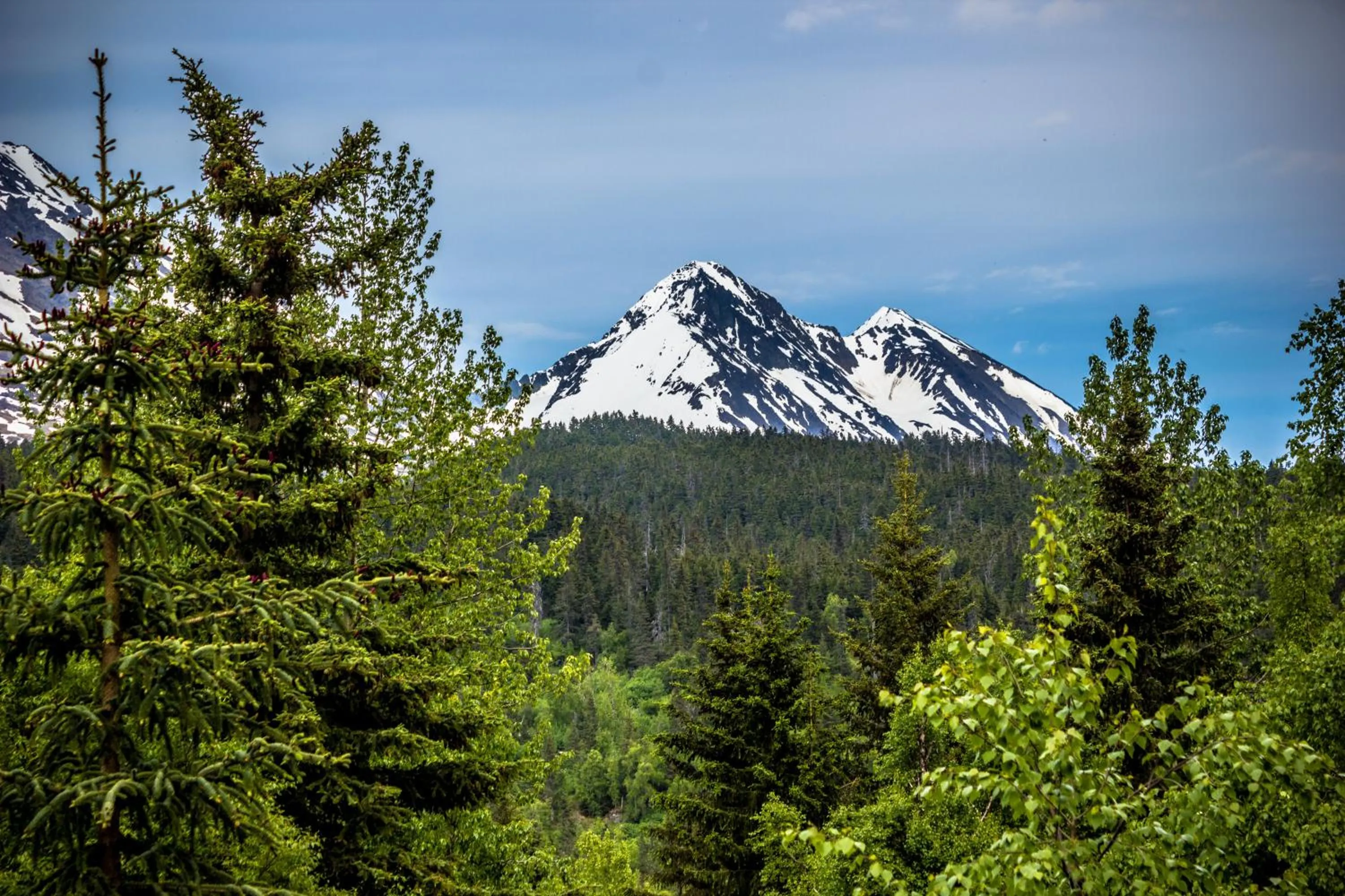Balcony/Terrace in Midnight Sun Log Cabins
