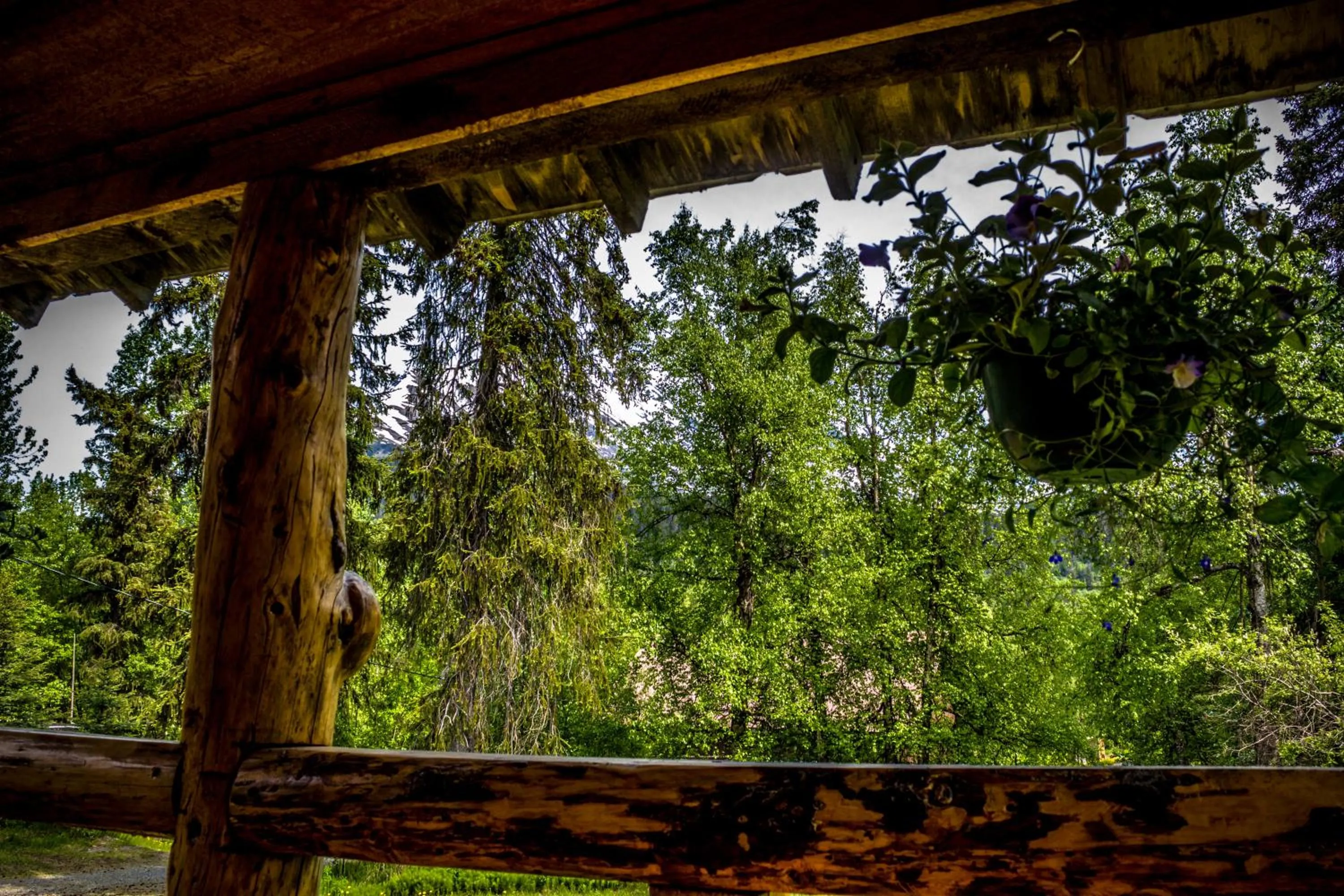 Balcony/Terrace in Midnight Sun Log Cabins