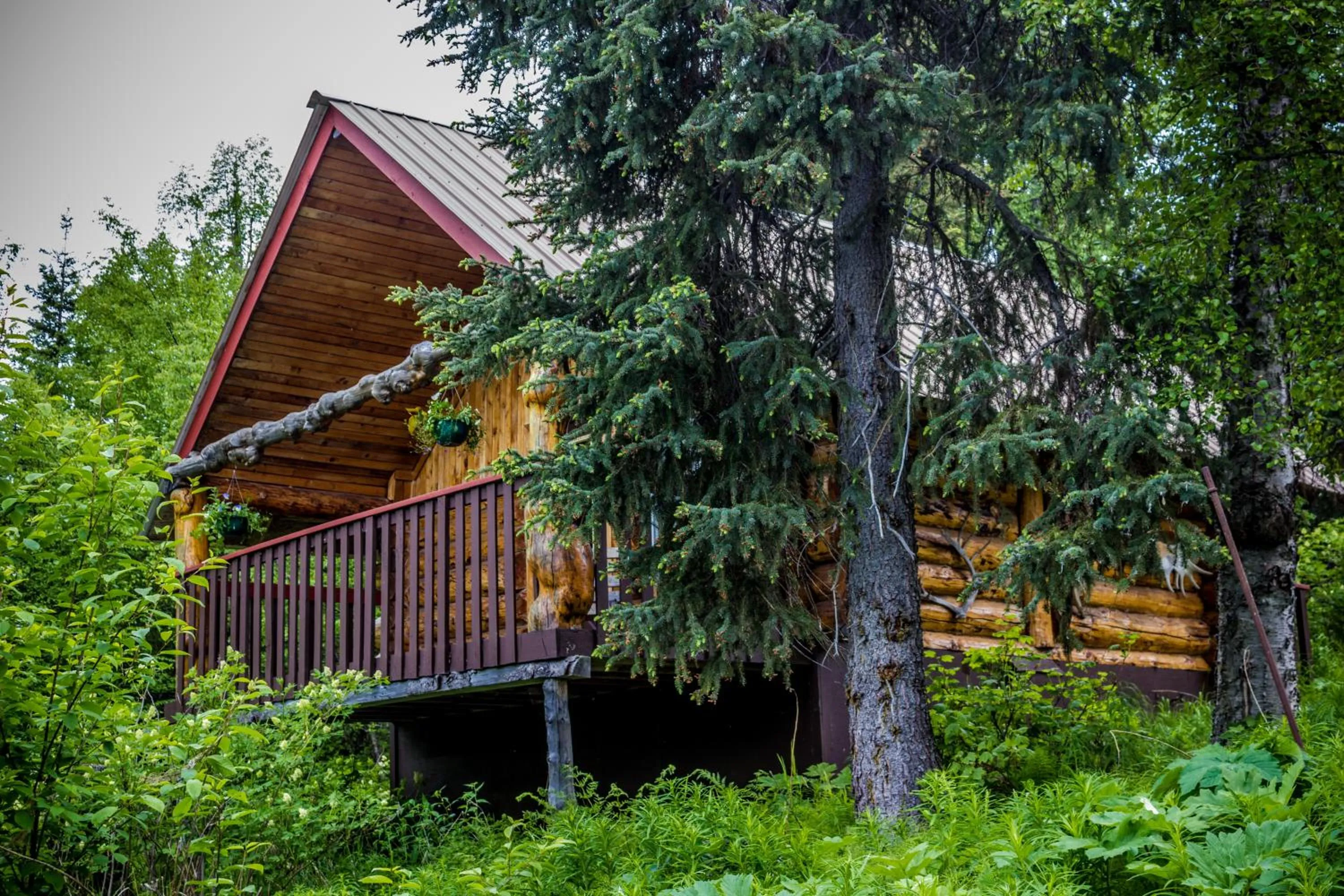 Balcony/Terrace in Midnight Sun Log Cabins