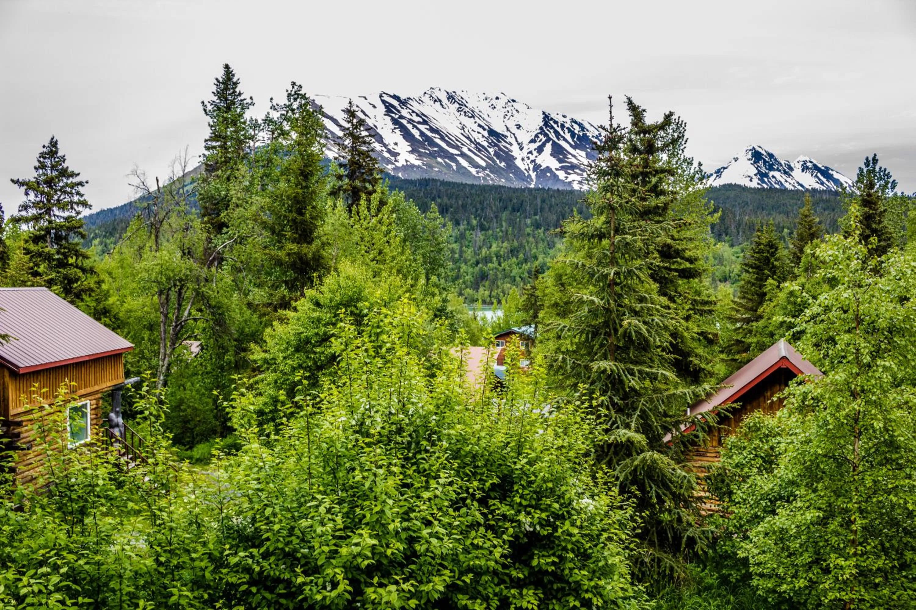 Balcony/Terrace in Midnight Sun Log Cabins