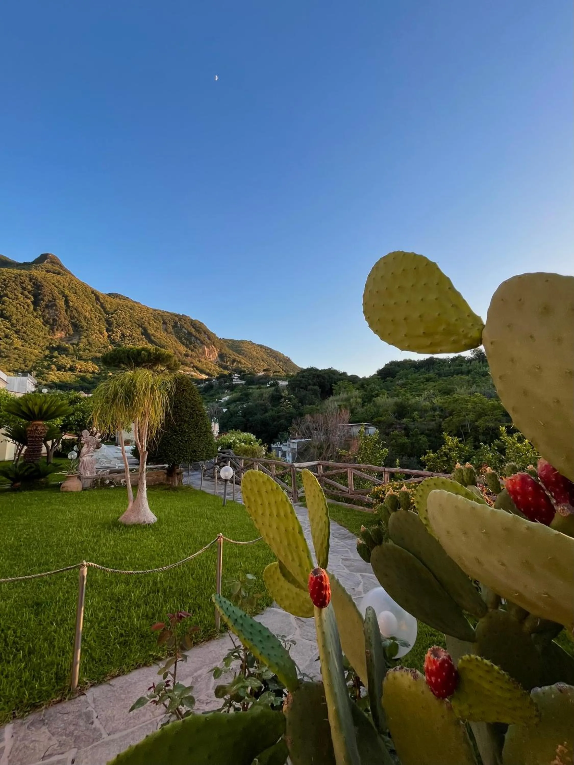 Garden in Resort Villa Flavio