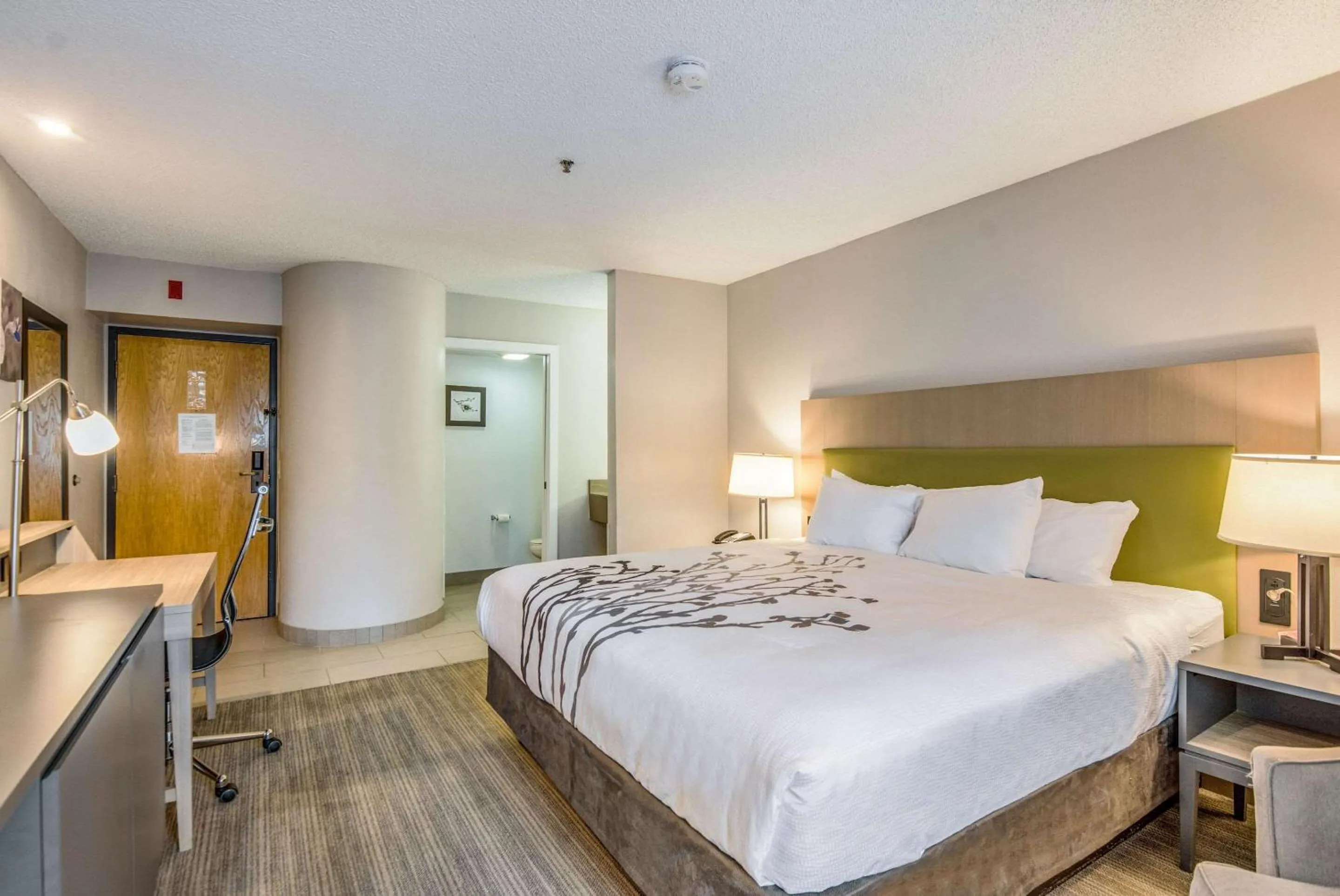 Photo of the whole room, Bed in Sleep Inn Fort Mill near Carowinds Blvd