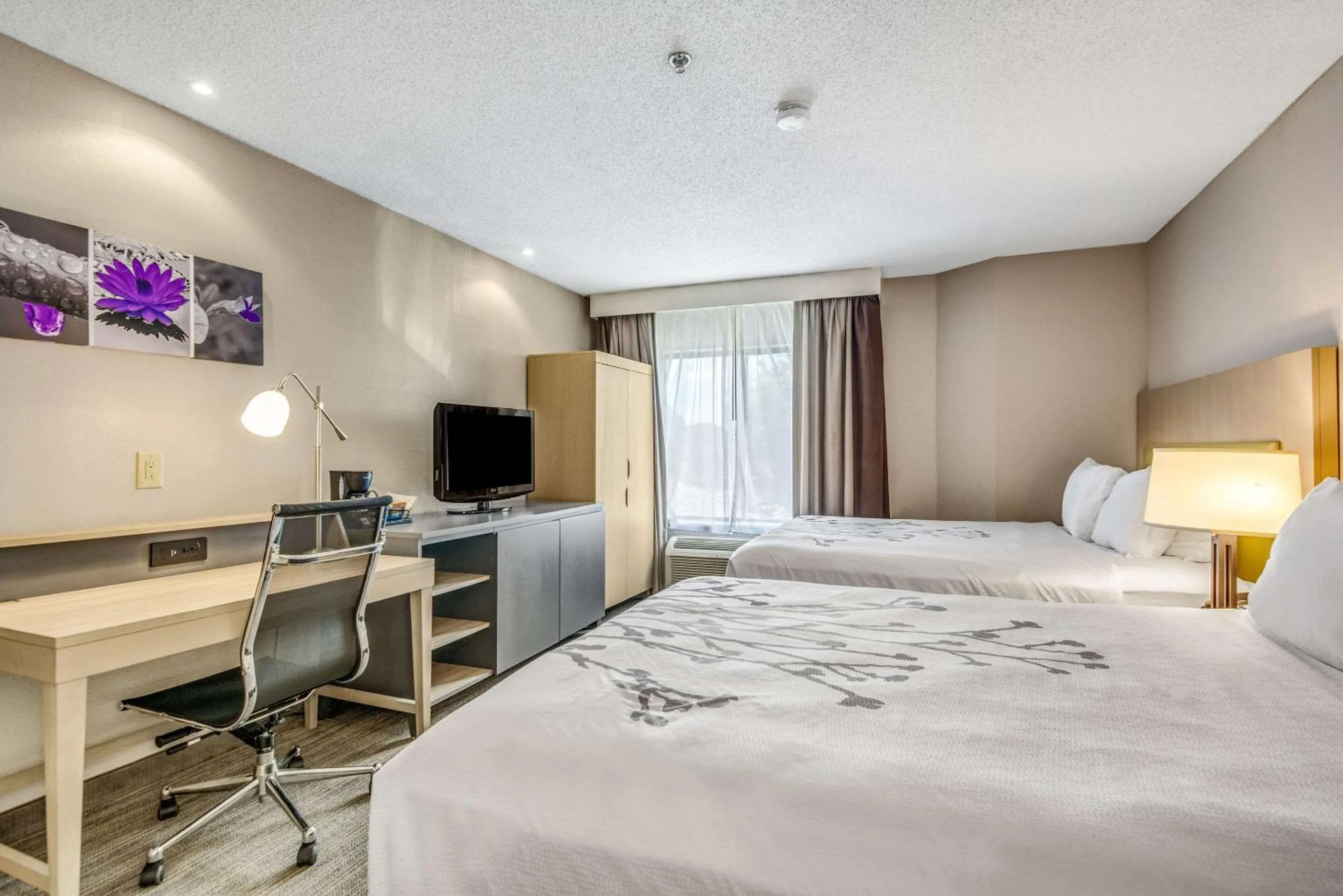 Photo of the whole room, Bed in Sleep Inn Fort Mill near Carowinds Blvd