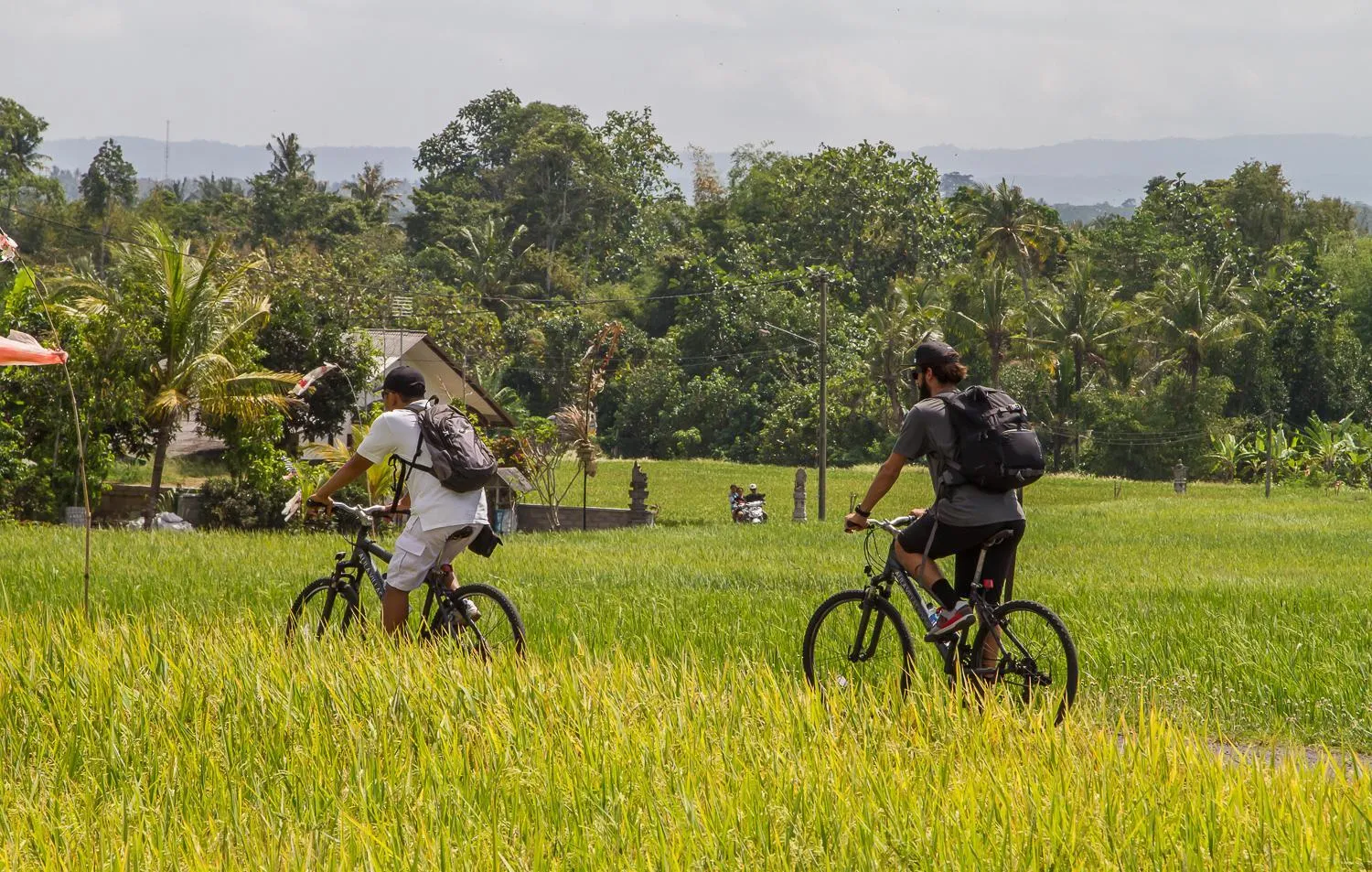 Activities in Soori Bali