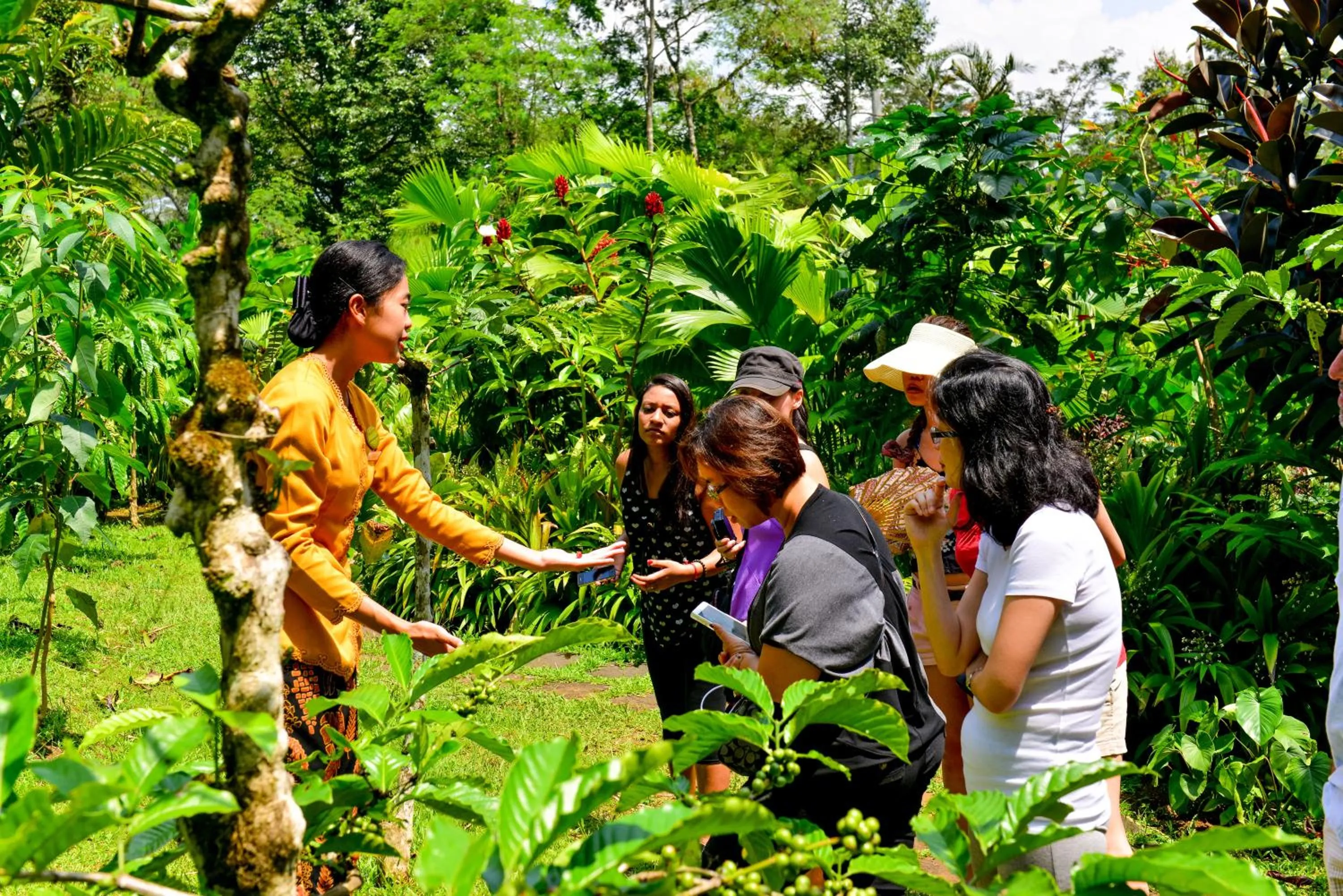 Activities in MesaStila Resort and Spa