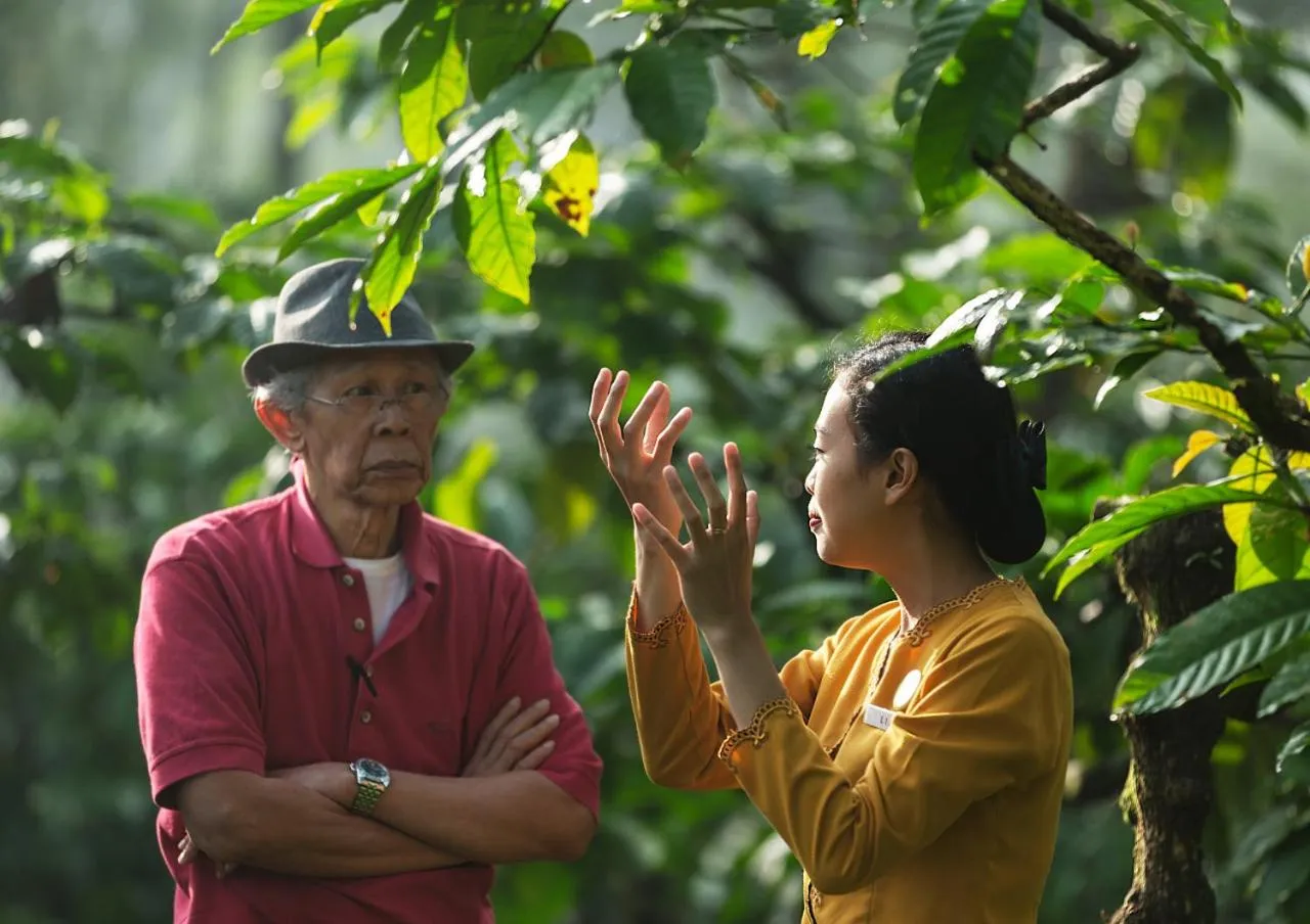 Activities in MesaStila Resort and Spa