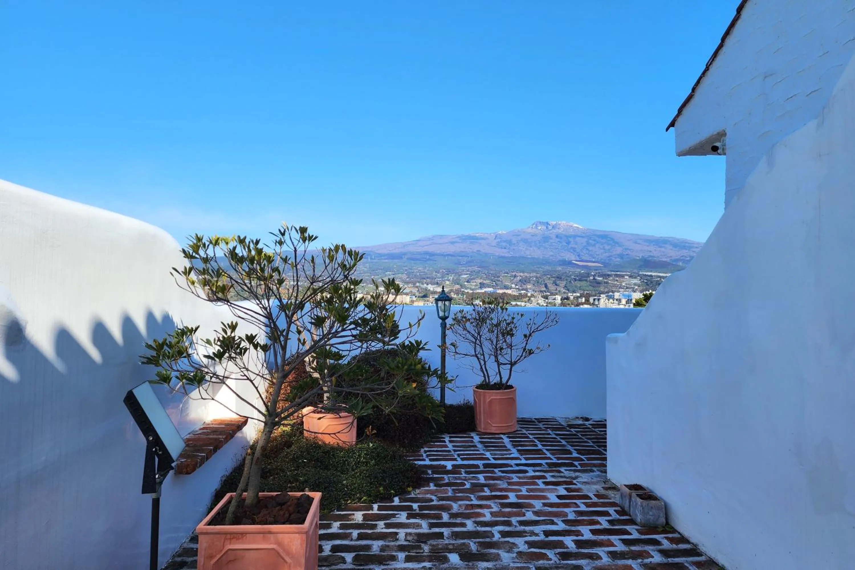 View (from property/room) in Palm Tree Villa