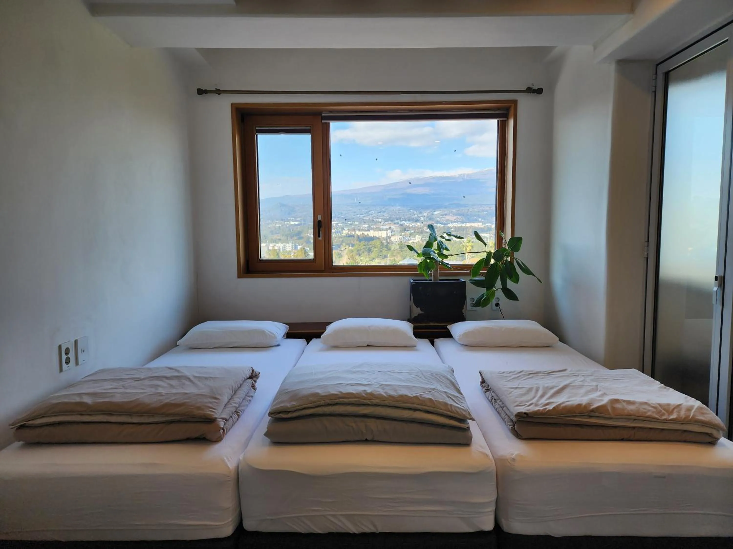 Bed in Palm Tree Villa